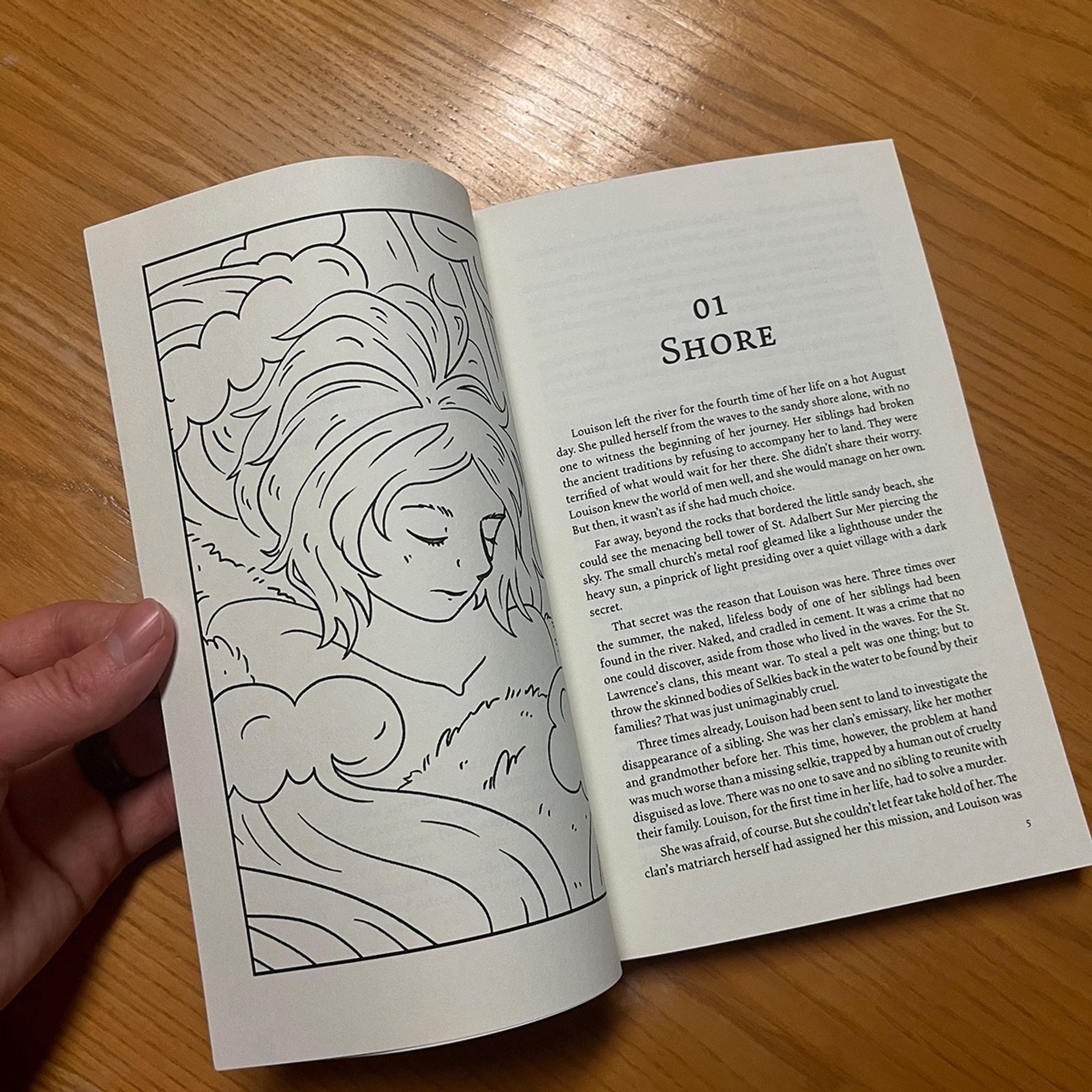 A photo of the first illustration in the print book of Skin Deep