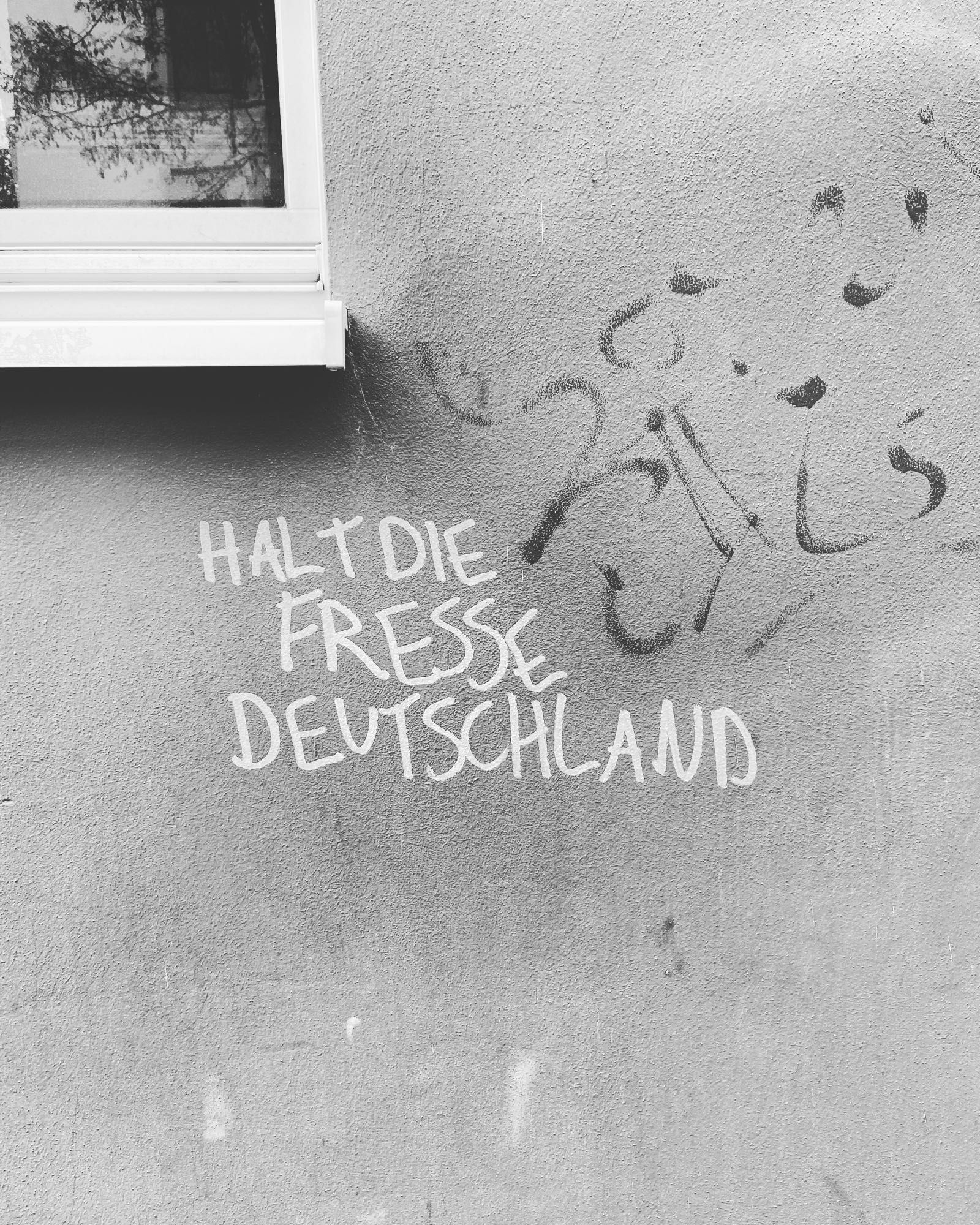 Graffiti an einer Wand. Man sieht auch ein Stück eines Fensters. Das Graffiti beinhaltet den Text "halt die fresse Deutschland"