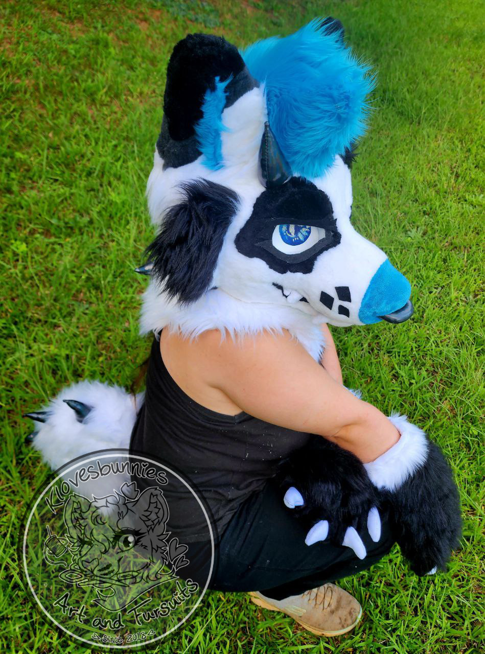 Blitz the Demon Wolf fursuit for sale. White and Black wolf, with blue accents, angry eyes, and horns.