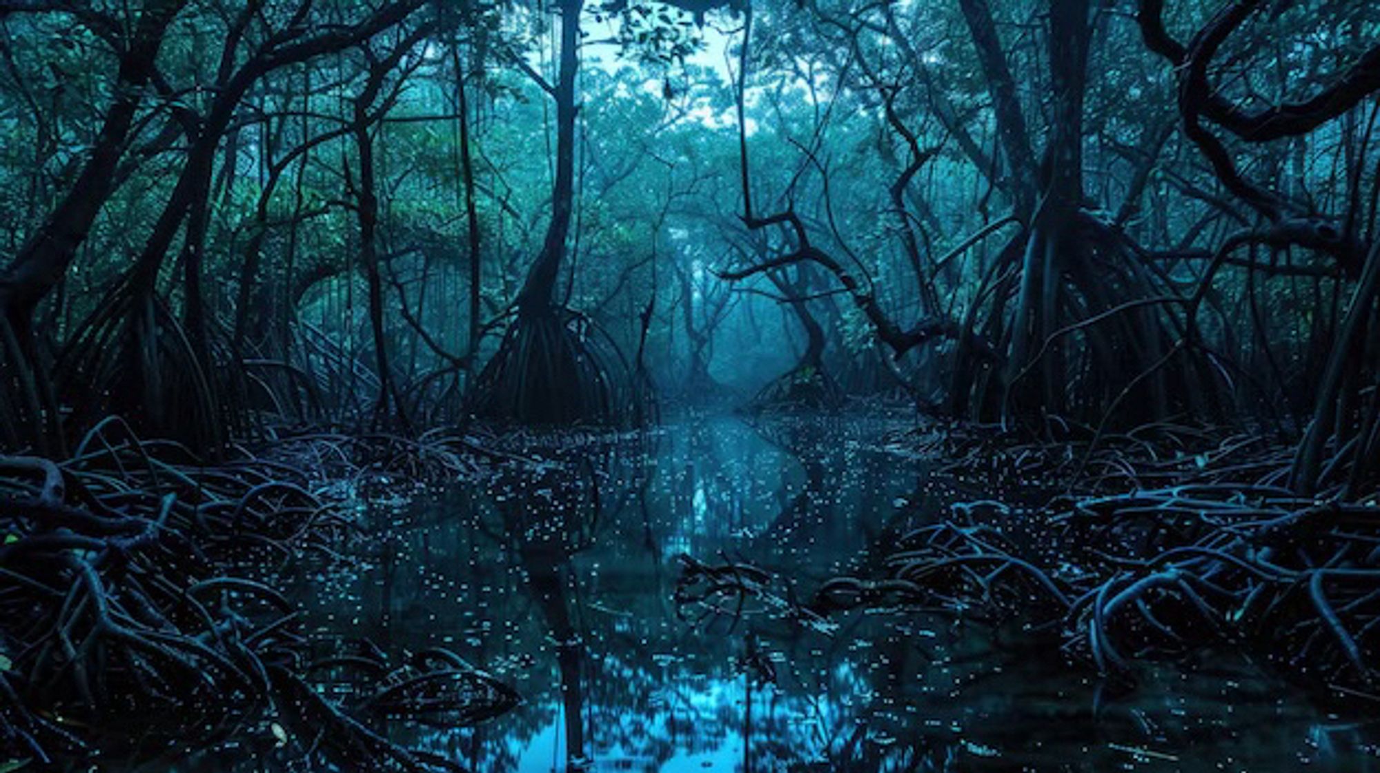 A creep mangrove grove