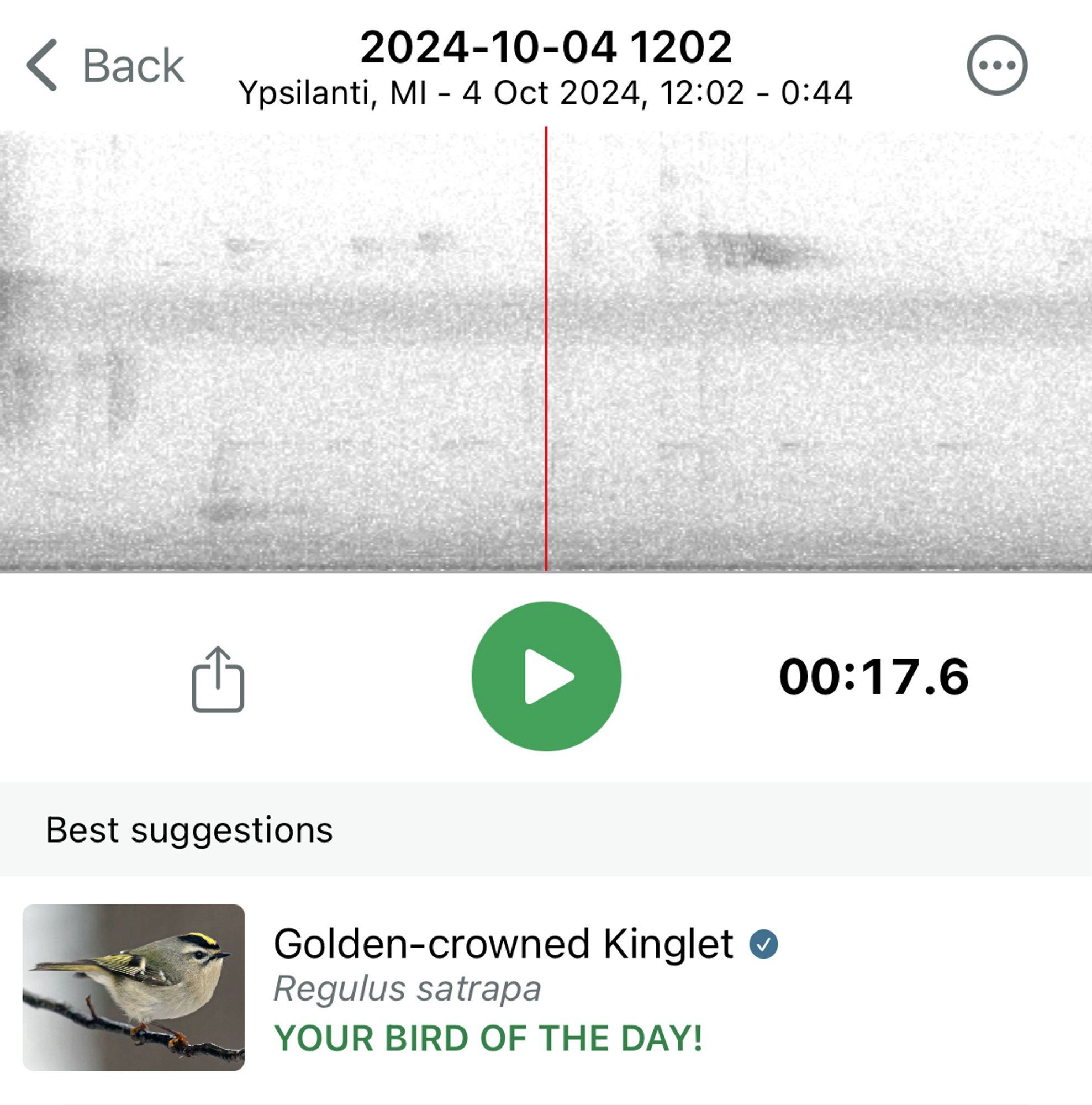 Merlin audio app informing that I recorded the sound of my bird of the day, which is a golden-crowned kinglet. A spectrograph occupies the top half of the image, with. A green play button under it, and a picture of a golden-crowned kinglet, next to which it says “your bird of the day!”