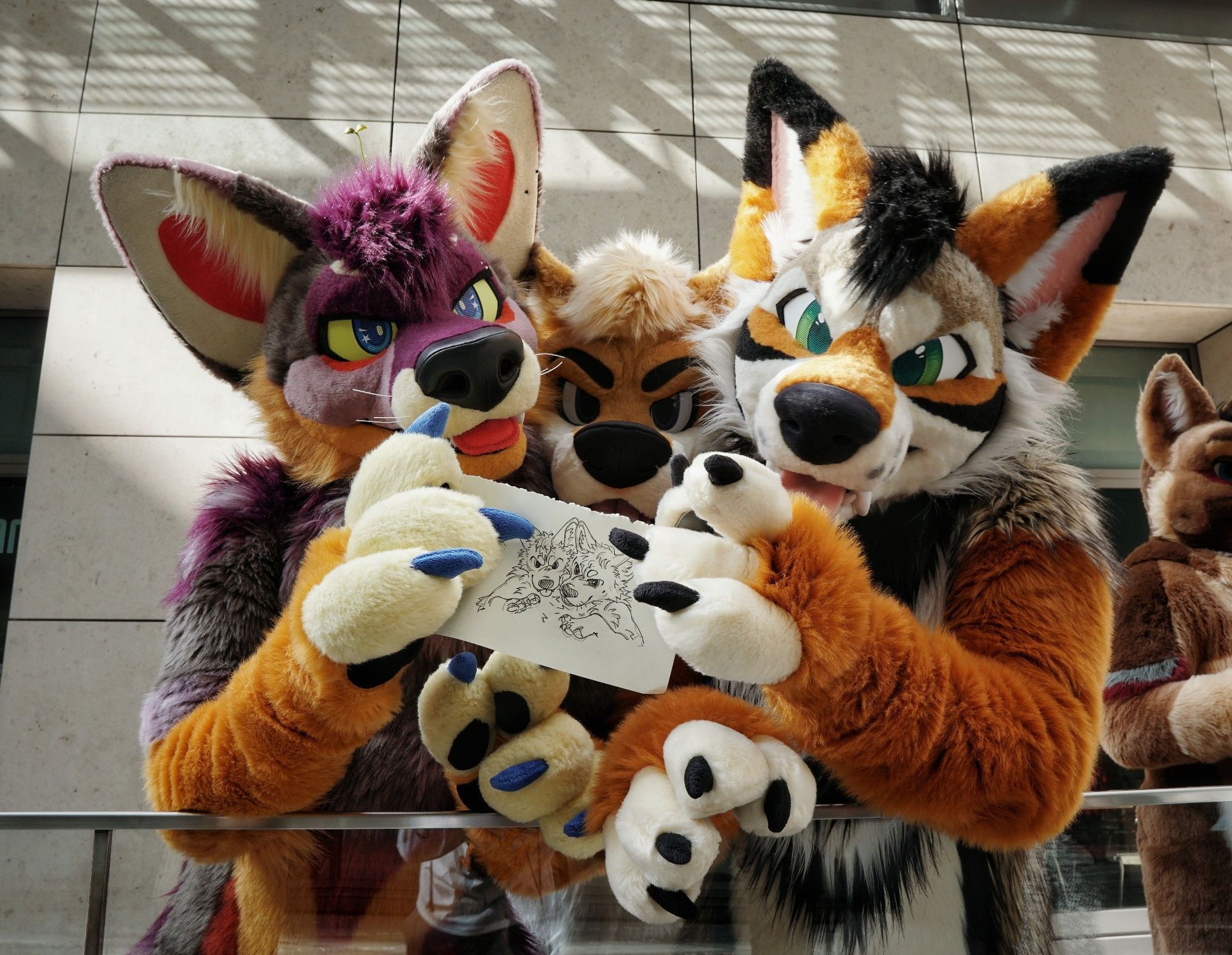 From left to right suiters StellArantares TobyDingo and PoloYote stood in sunlight holding up a sketch of them made by TikoDoodles.