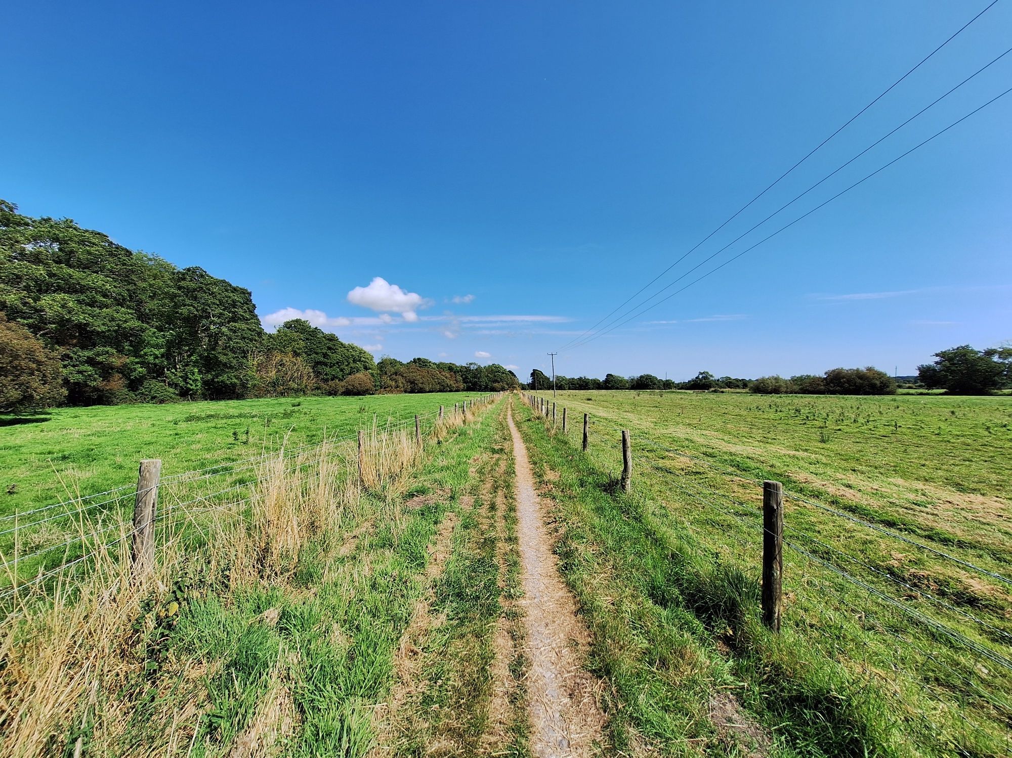 Path between Dorchester and Stinsford.  A very straight path lined by fences on both sides. The green grass stands out against the blue sky. One can see trees in the background.