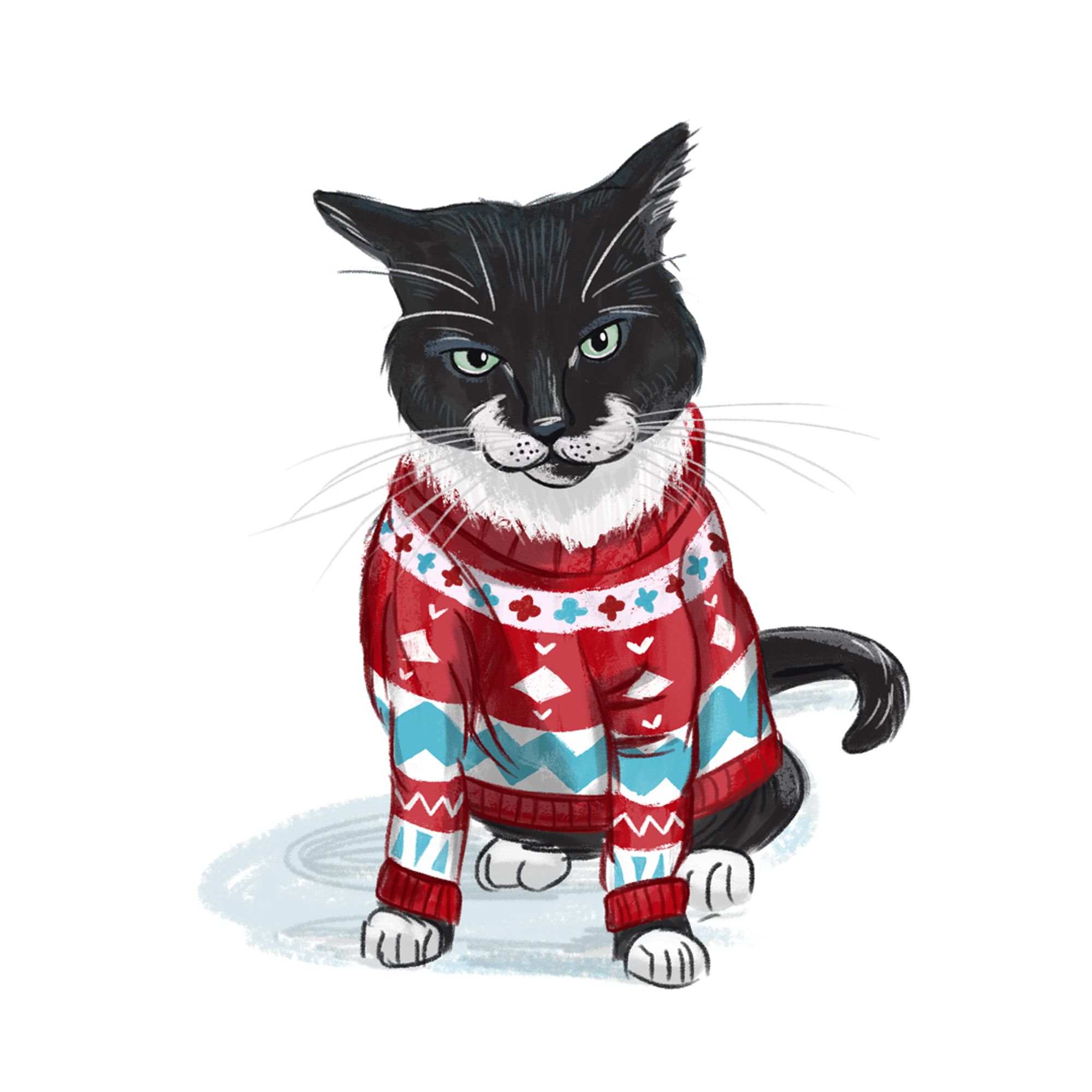 My tuxedo cat Panda, looking very unimpressed  in the Christmas jumper I have drawn her in