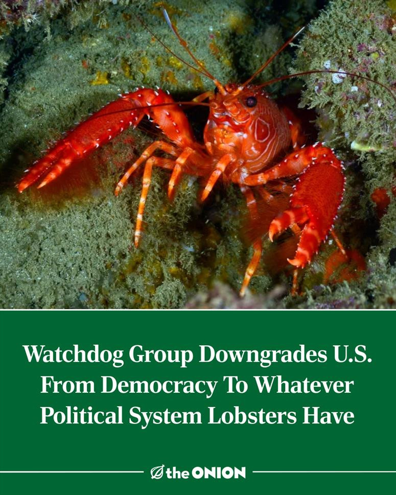 Watchdog Group Downgrades U.S. From Democracy To Whatever Political System Lobsters Have