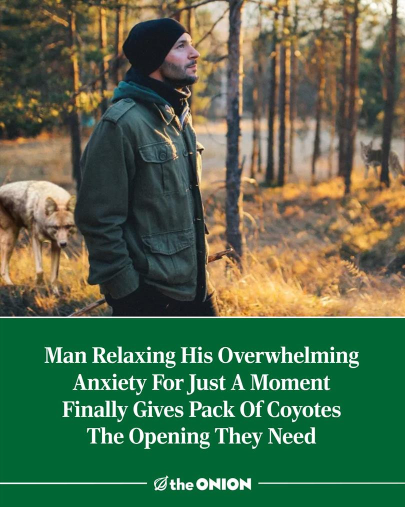 Man Relaxing His Overwhelming Anxiety For Just A Moment Finally Gives Pack Of Coyotes The Opening They Need 