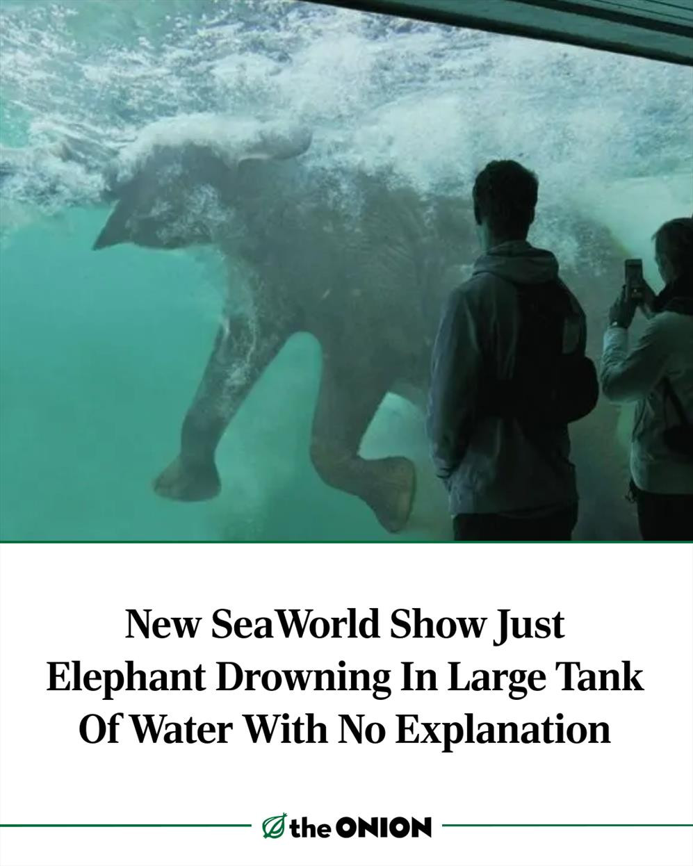 New SeaWorld Show Just Elephant Drowning In Large Tank Of Water With No Explanation