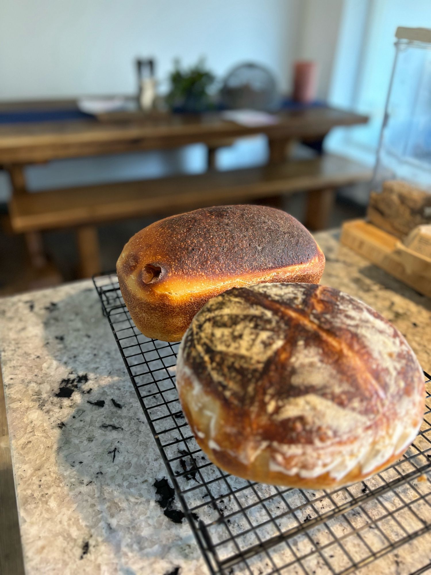 Two loaves of bread. One round and one standard loaf shape.