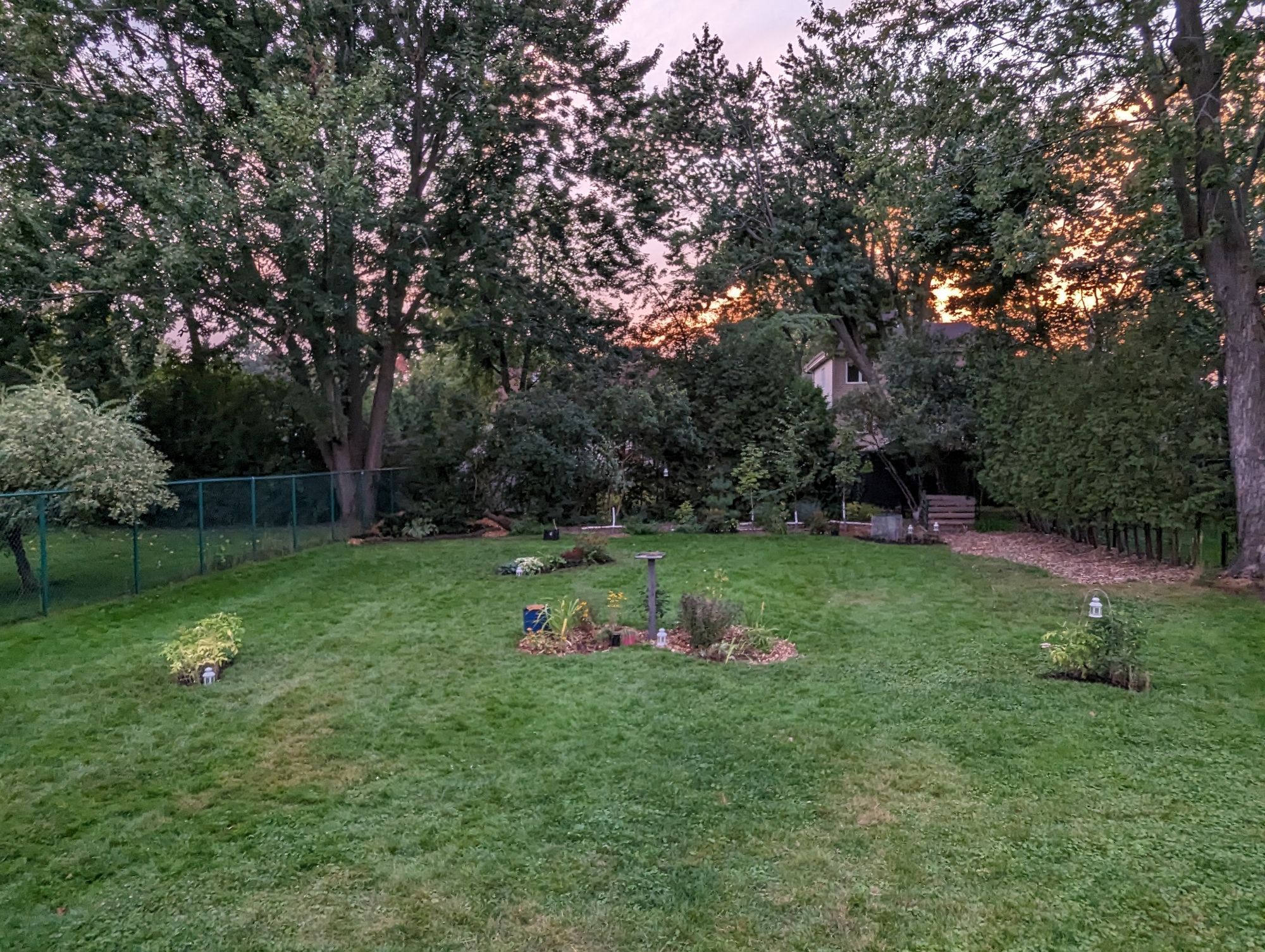 Picture of a large backward with small garden beds scattered throughout, it's dusk.