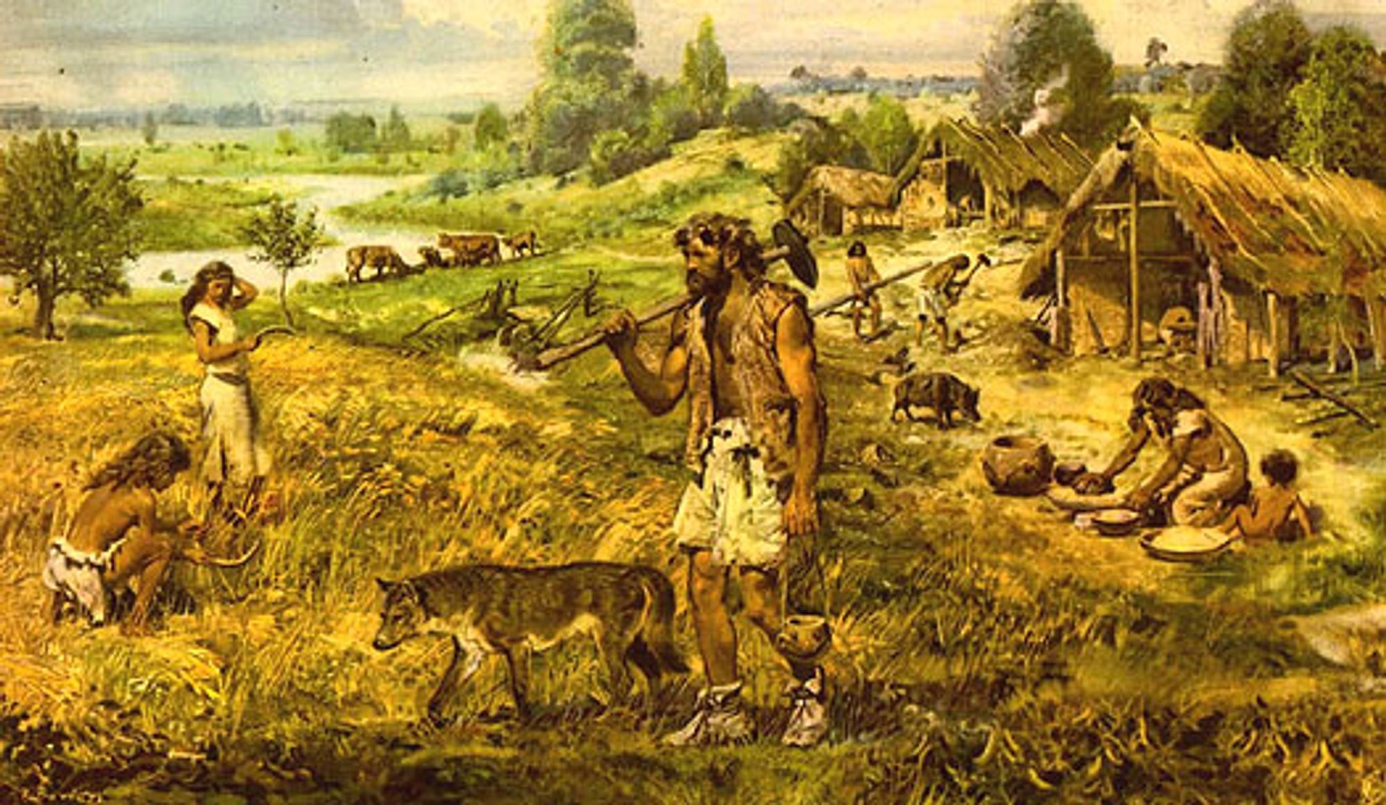 The History Files: Shepherd Neolithic