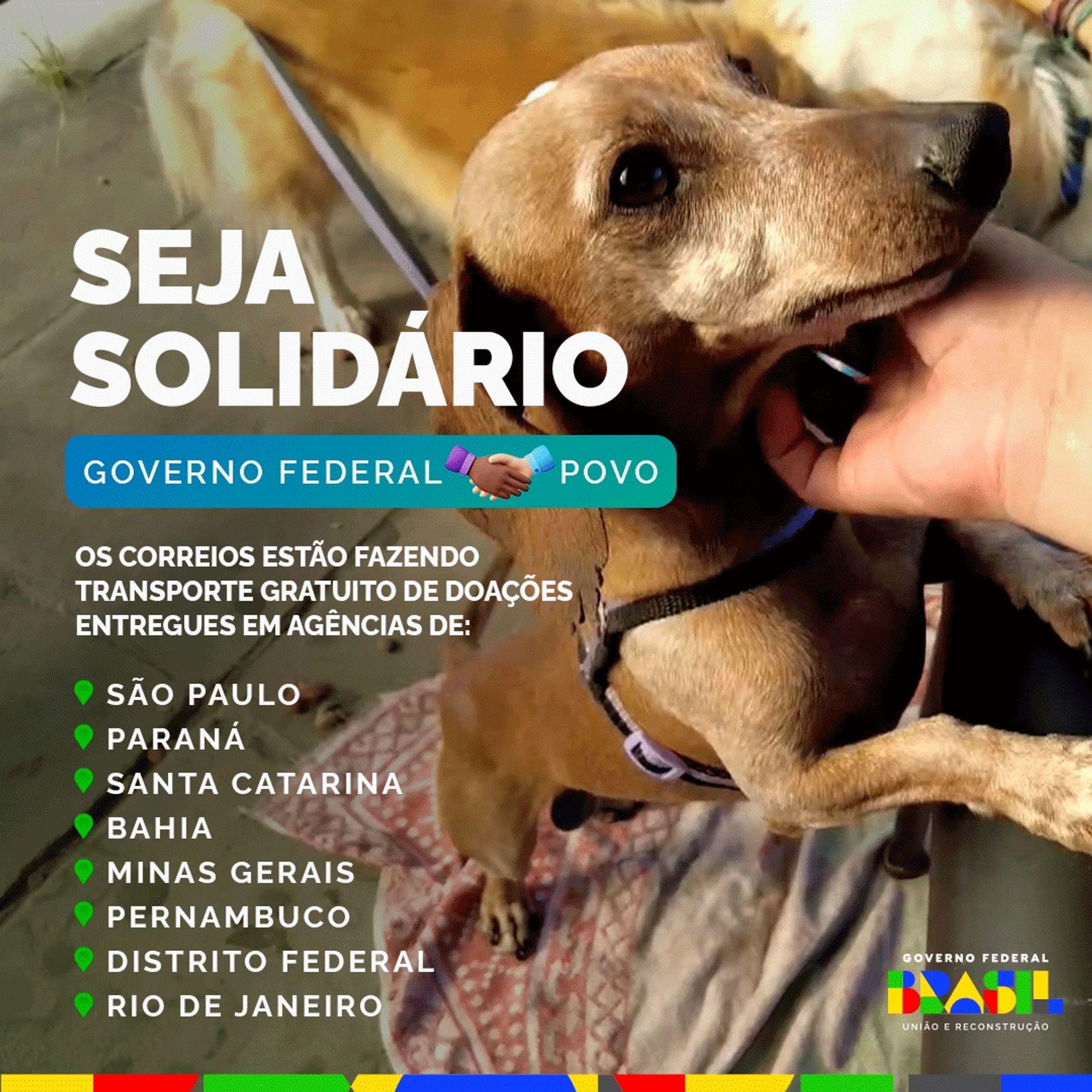 Card com uma foto de um cachorro. No texto: Seja Solidário. Governo Federal 🤝 Povo. Os Correios estão fazendo transporte gratuito de doações entregues em agências de: São Paulo, Paraná, Santa Catarina, Bahia, Minas Gerais, Pernambuco, Distrito Federal e Rio de Janeiro. Logo do governo federal abaixo.