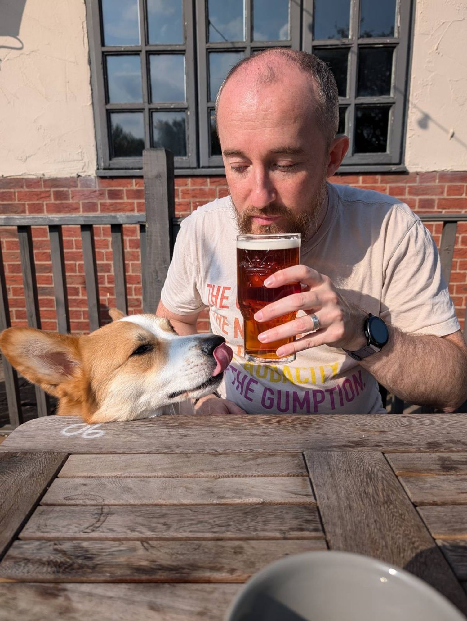 A Corgi (naughtily) stands up against an outdoor pub table with his head just over the top. He is looking at a pint glass full of beer held by me and is licking his nose expectantly.