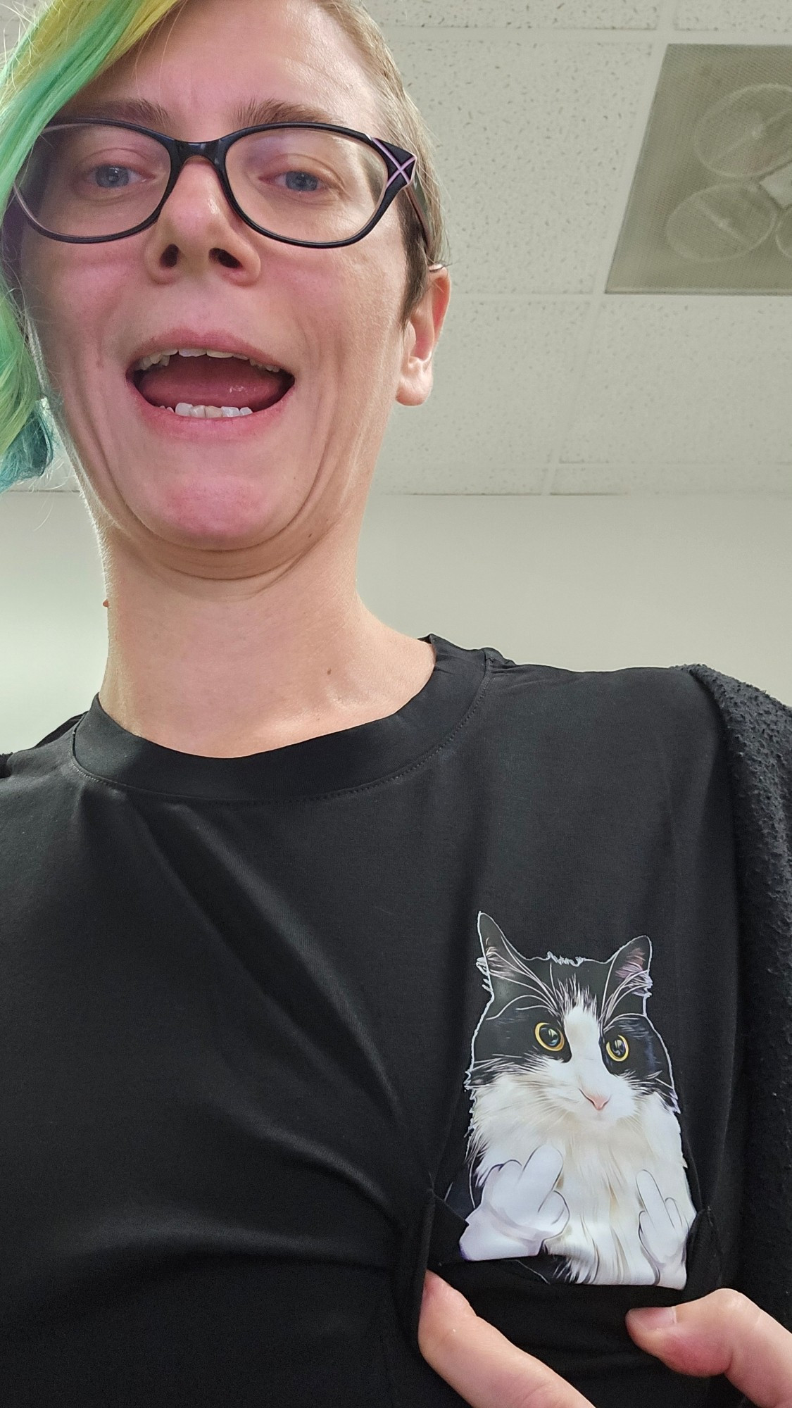 Picture of person with green hair wearing a black tshirt with a picture of a cat in the shirt pocket. The person is now pulling down the shirt pocket to reveal that the cat is flipping the burden with both paws.