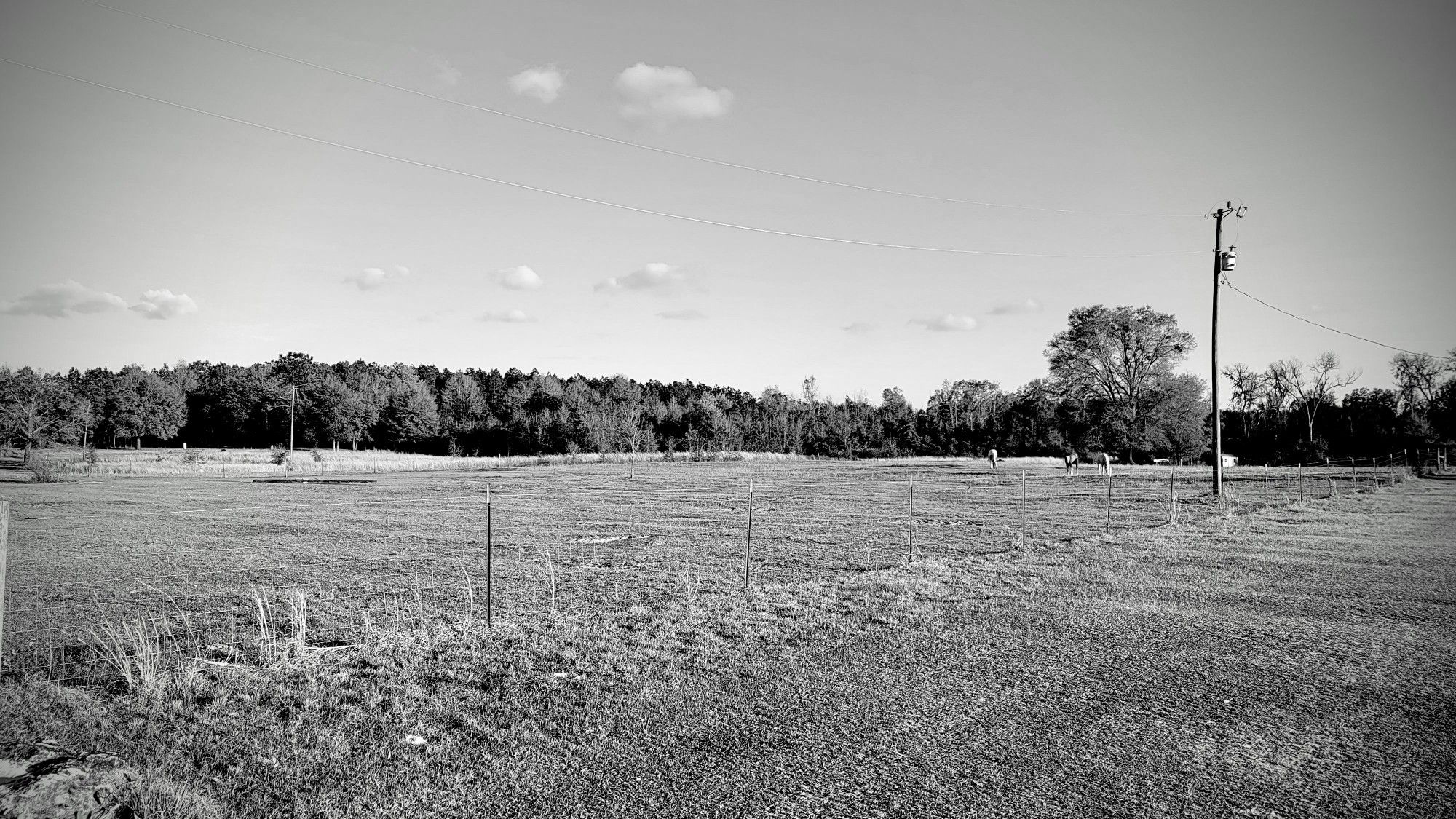 A pasture lined by trees in the country, taken in March of 2022.