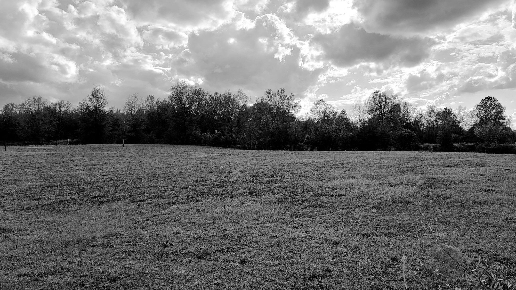 An empty field in the country, taken in March of 2023.