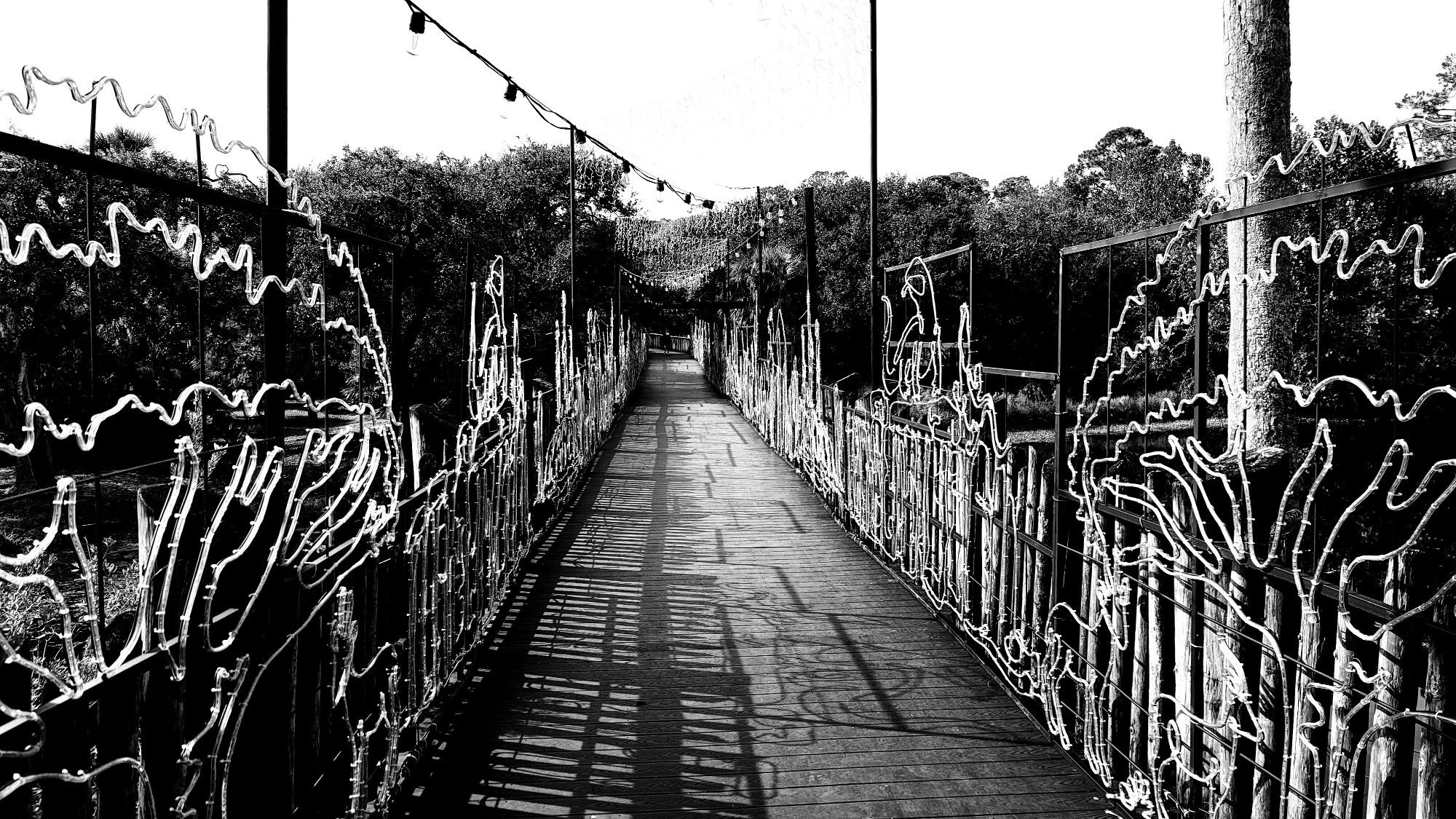 A walkway over an animal exhibit in the Jacksonville Zoo, taken in October of 2023.