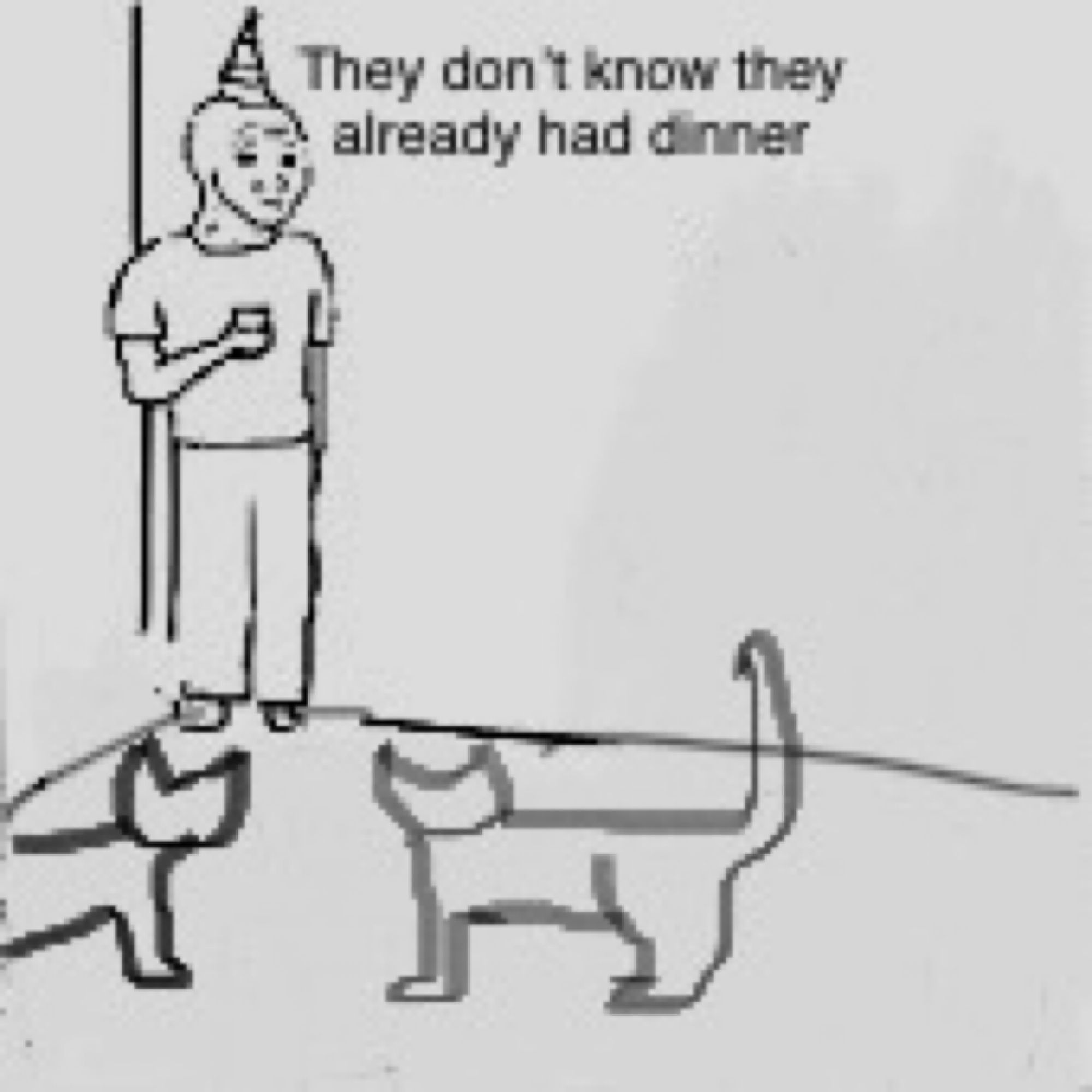 They don’t know meme. Guy in party hat standing alone while two cat look at him. Caption reads, “they don’t know they already had dinner”