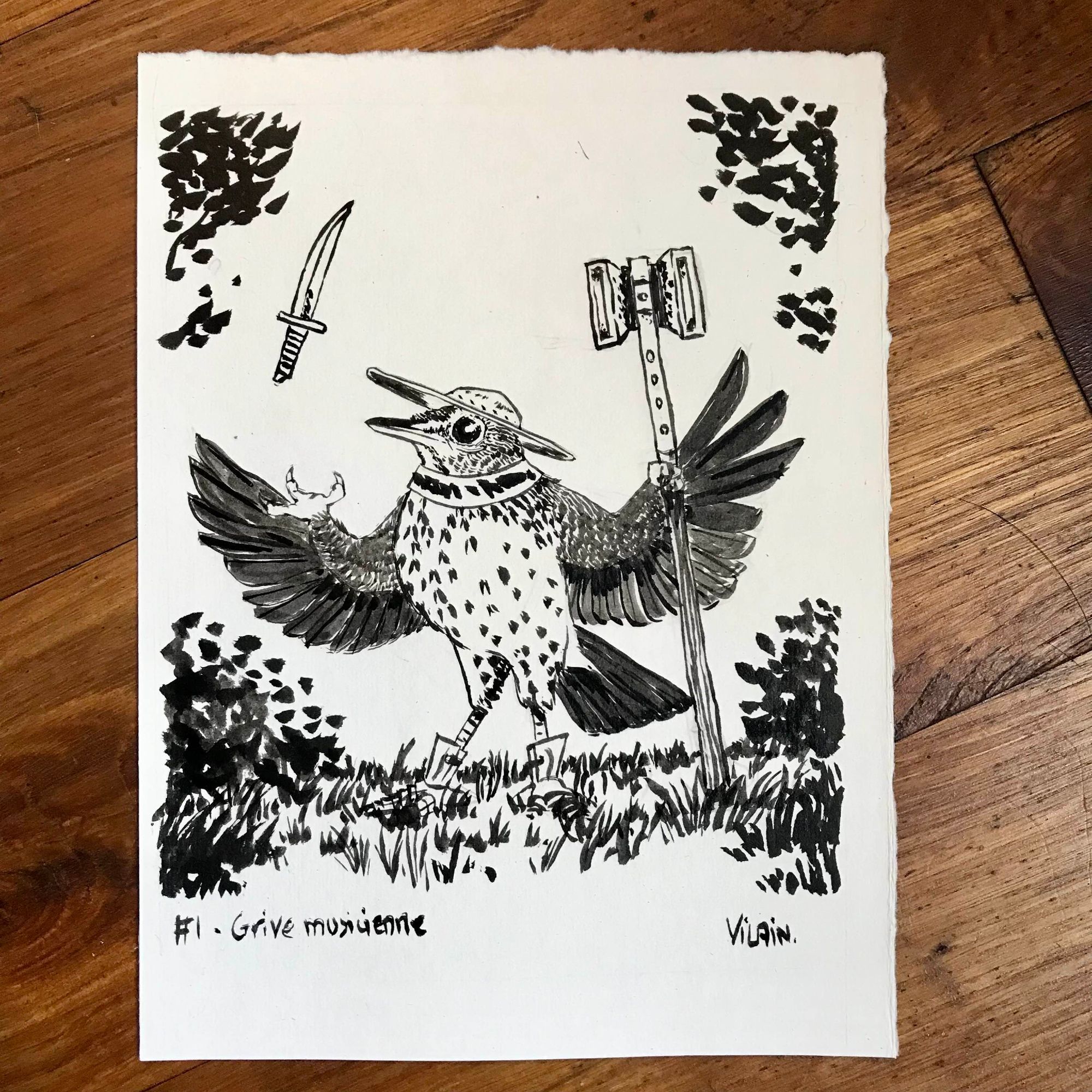 Dessin à l'encre d'une grive, un petit oiseau semblable à un merle avec le ventre blanc et des petites taches noires. Celle-ci a en plus deux petites mains, une qui tient un marteau de guerre et l'autre qui jongle avec une dague. Elle est vêtue de petites bottes métalliques, d'un gorgerin et d'un chapel de fer à bords très larges.