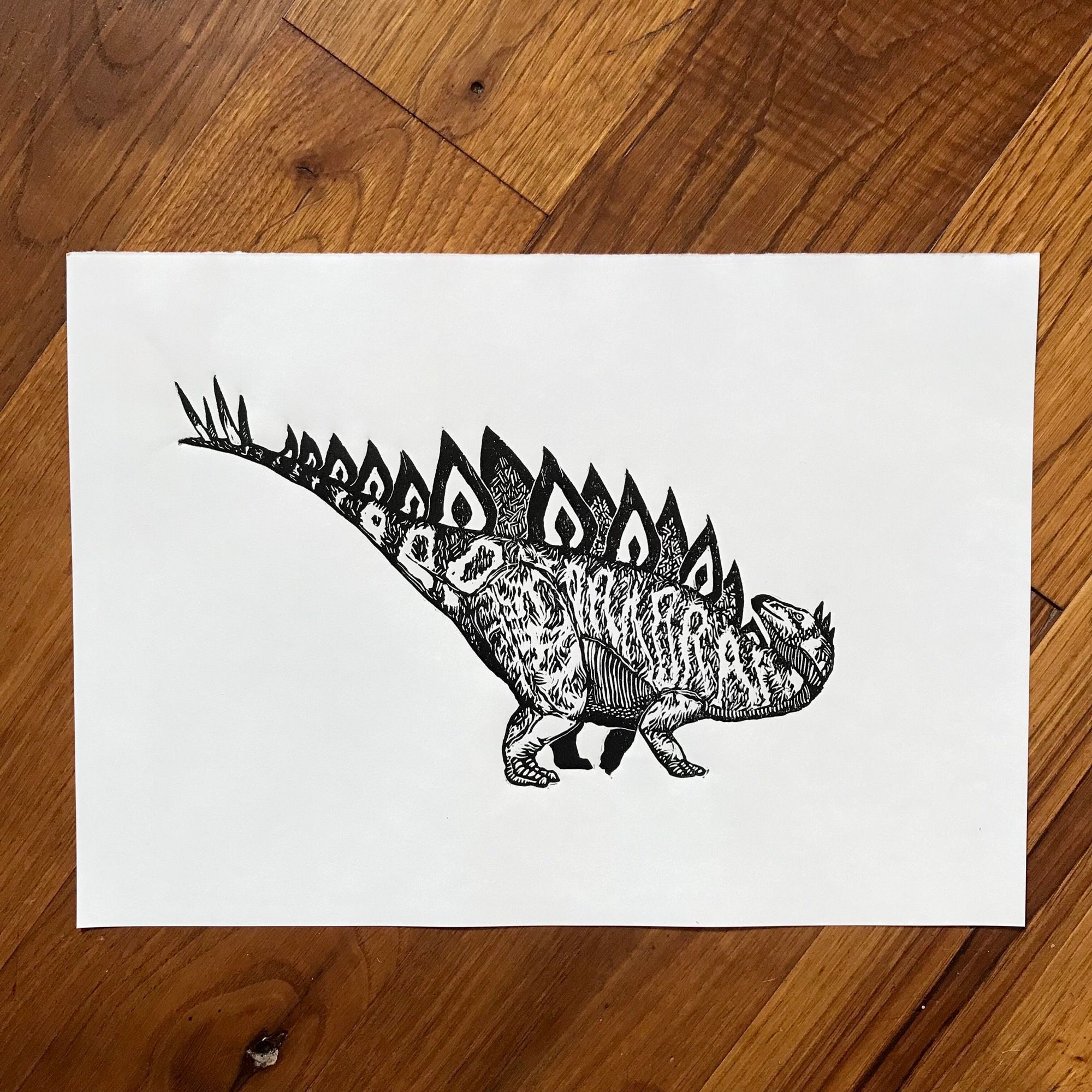 Estampe d'un stegosaurus, un dinosaure herbivore quadrupède avec une petite tête allongée, des rangées de plaque osseuses avec des dessins contrastés sur le dos, et quatre piques acérées au bout de la queue.