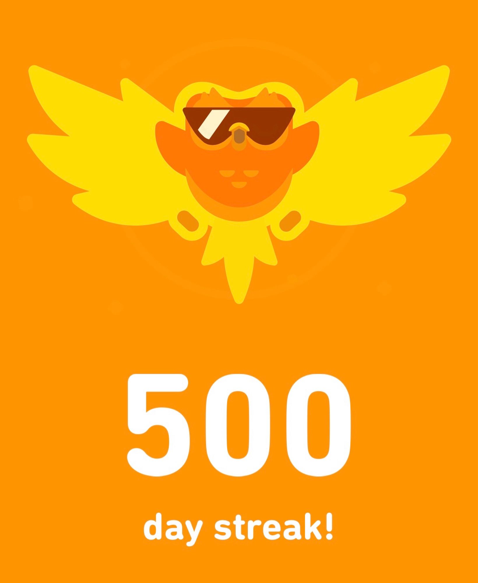 A 500 day Duolingo streak