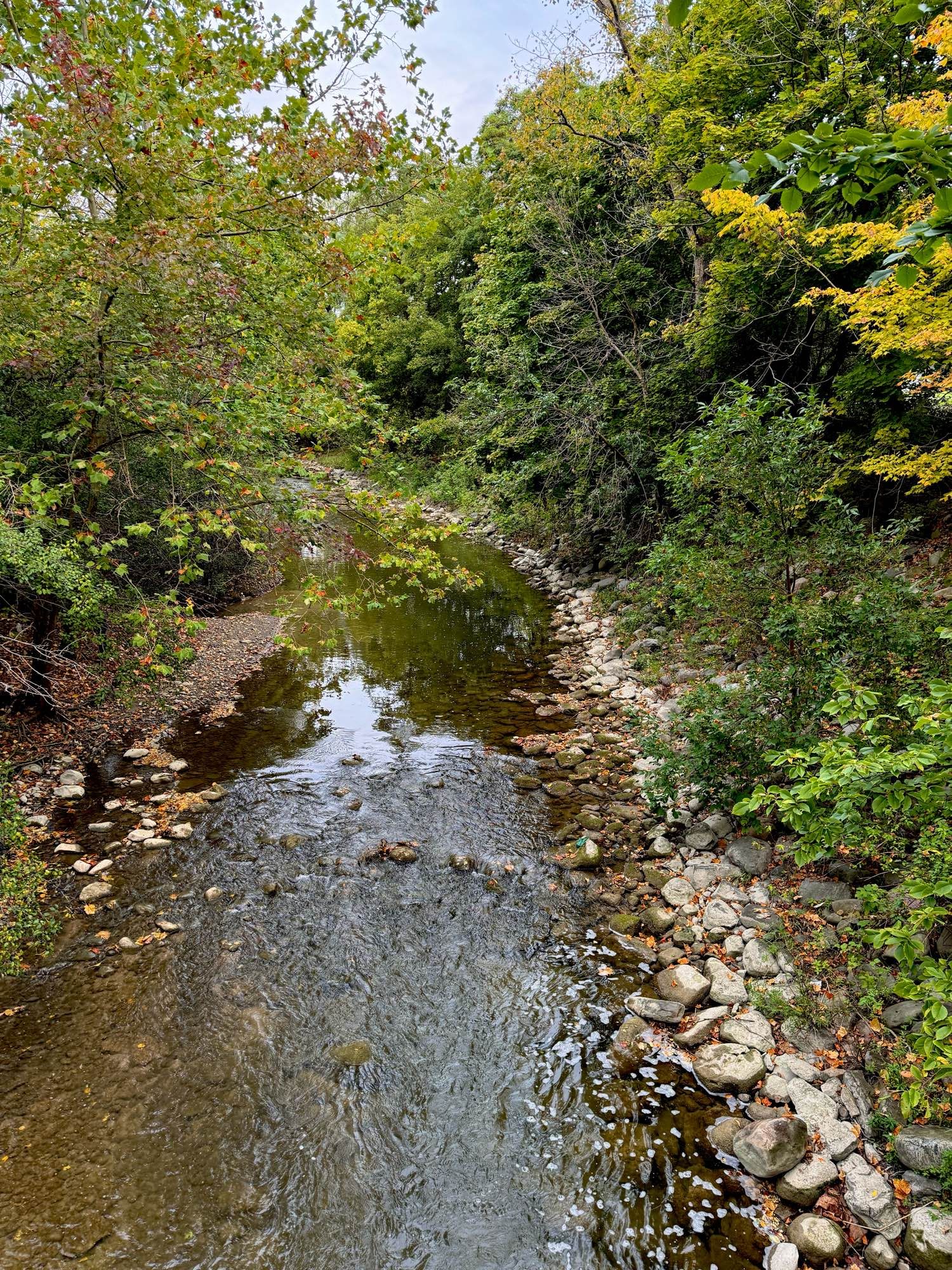 View from a footpath bridge looking down on a creek with rocky shore