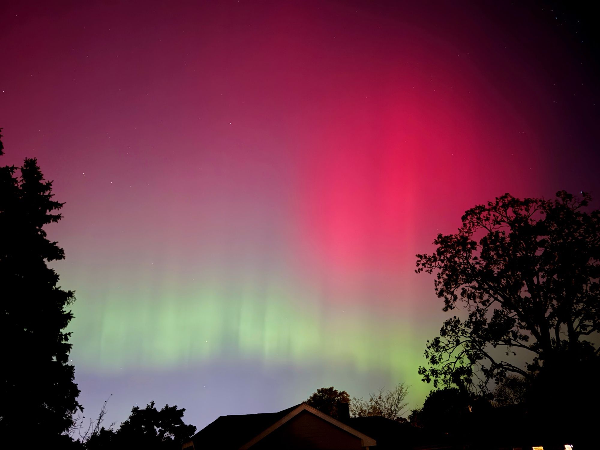 Spectacular red (higher up) & green (horizontal stripe across bottom) northern lights painting the sky above the rooftops between two trees