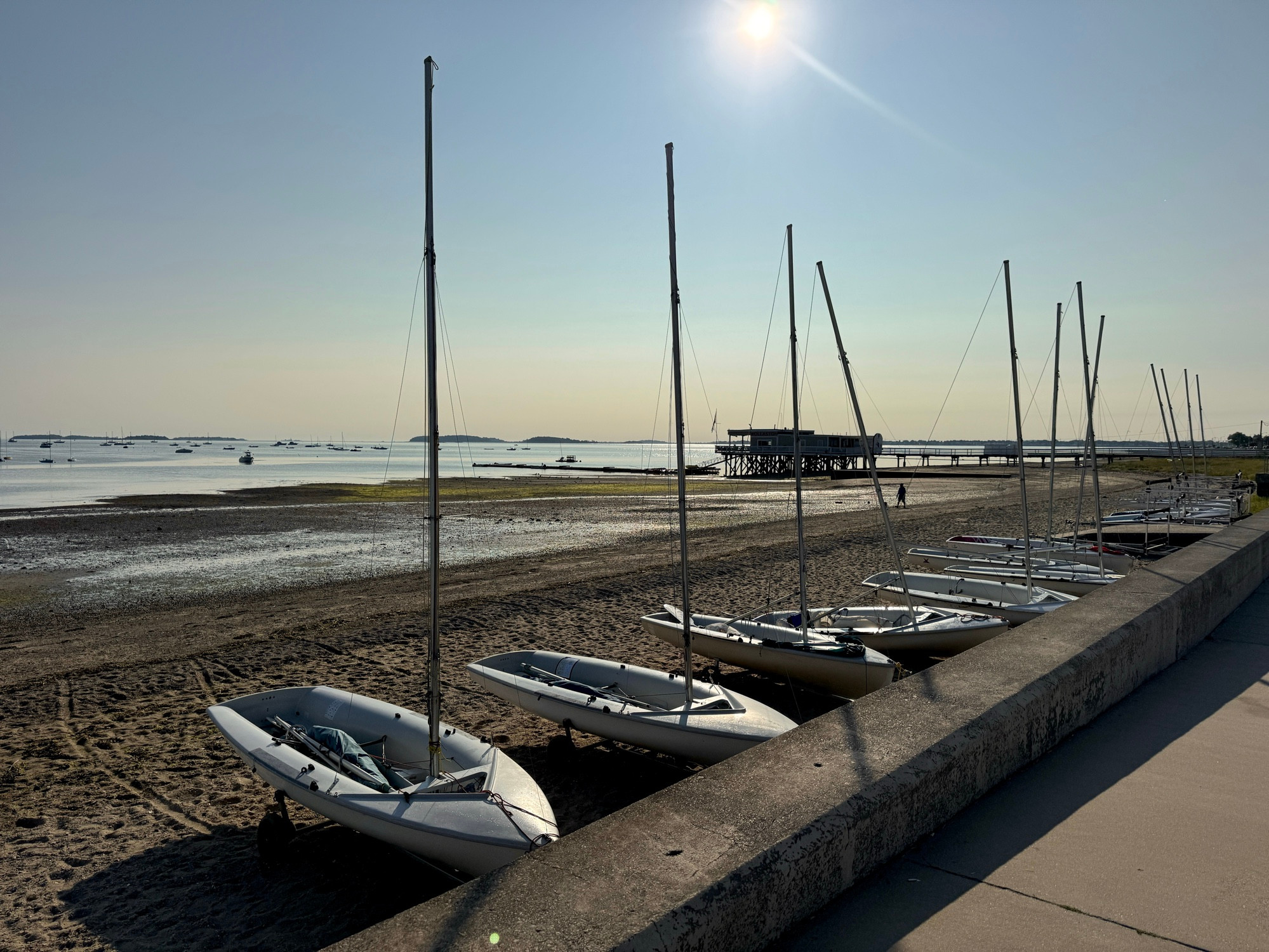 Sailboats lined up on the beach for the youth regatta today