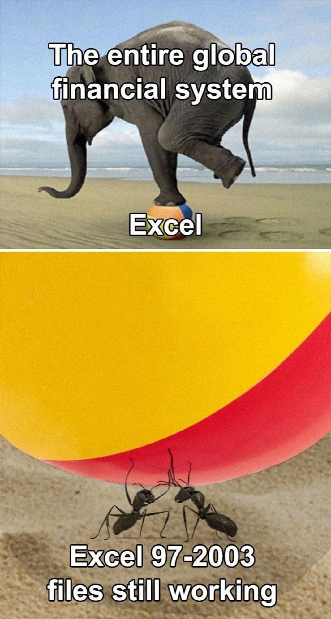 Two panel meme. The top panel shows an elephant on a beach, balanced on top of a beach ball. The elephant is labelled "the entire global financial system" and the beach ball is labelled "excel". The second panel shows two ants on the sand holding up a beach ball, labelled "excel 97-2003 files still working".