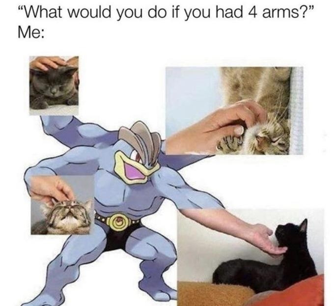 Meme with the caption "what would you do if you had four arms? 
Me:" 
above a picture of the Pokemon, Machamp, with a photo of a hand patting a cat digitally edited onto the end of each of its four arms.