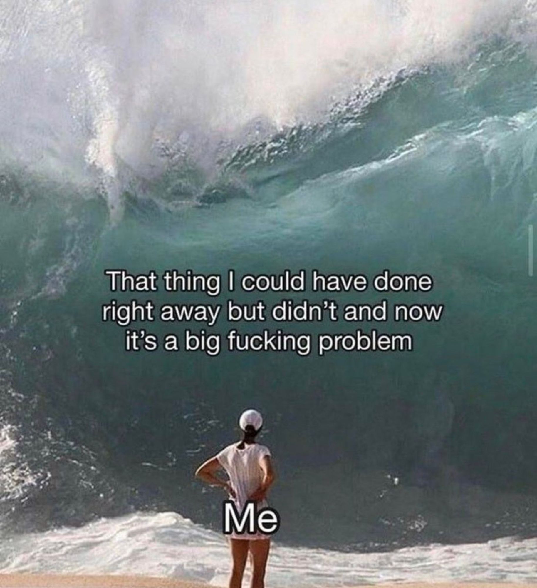 Meme with a photo of a person standing, hands on hips, on a beach looking at an enormous wave that is about to crash into them. The person is labelled "me" and the wave is labelled "that thing I could've done right away but didn't and now it's a bit fucking problem"