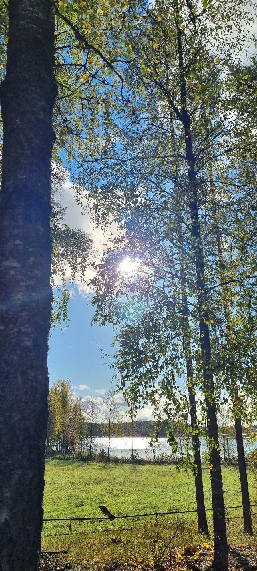 Auringonpaisteinen maisema.