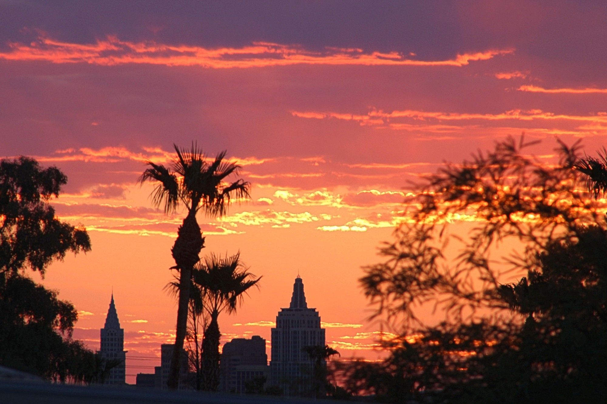 Sunrise, palm trees, #NYNYVegas