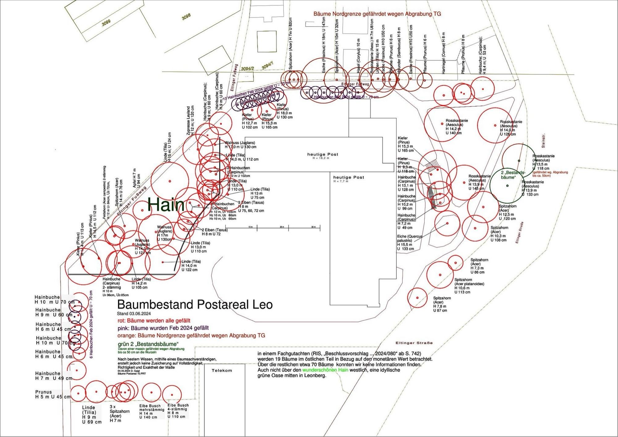 Plan des Baumbestandes Postareal Leonberg mit Angabe der Art, des Alters und der Größe der einzelnen Bäume