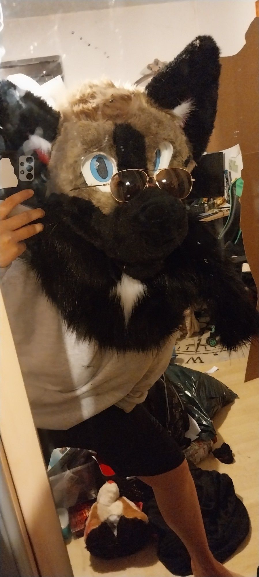 Brown furry with sunglasses