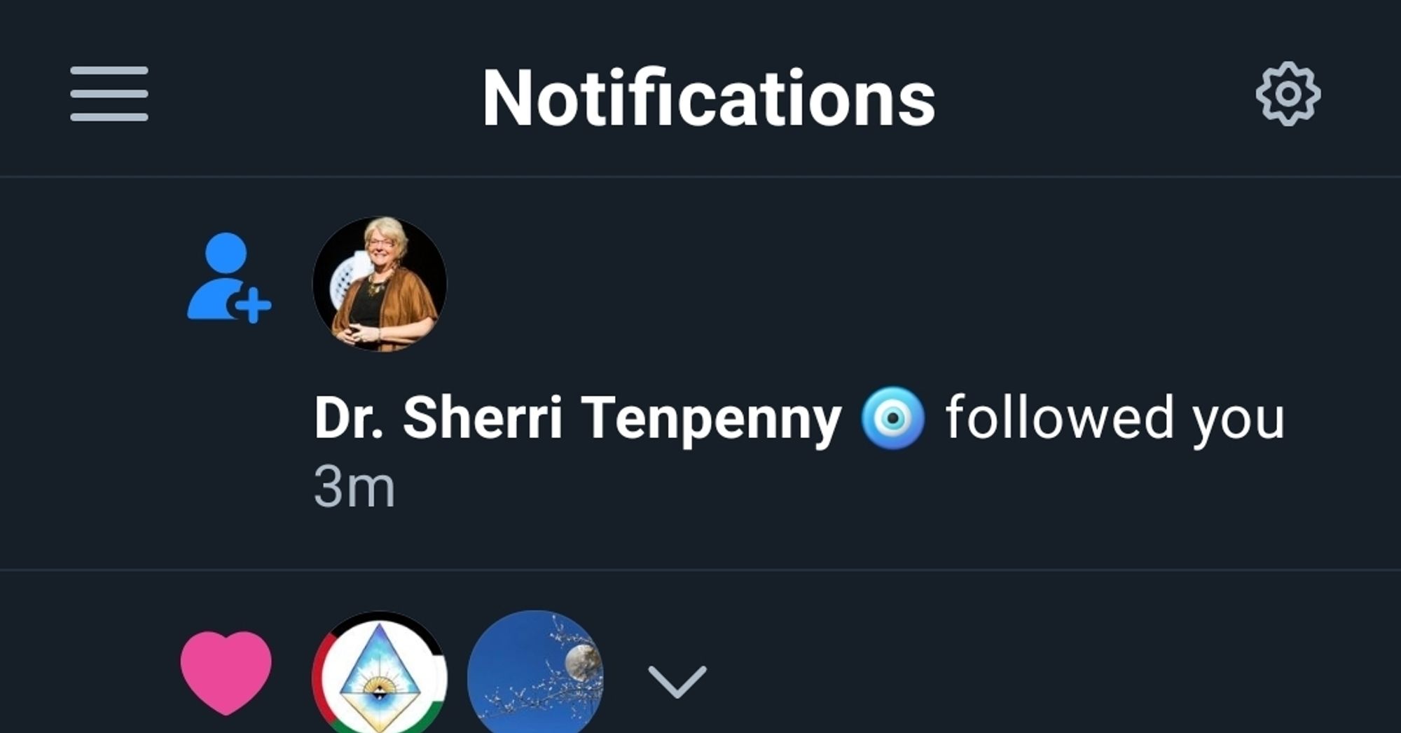 Notification that weirdo antivax grifter Sherri Tenpenny has followed me