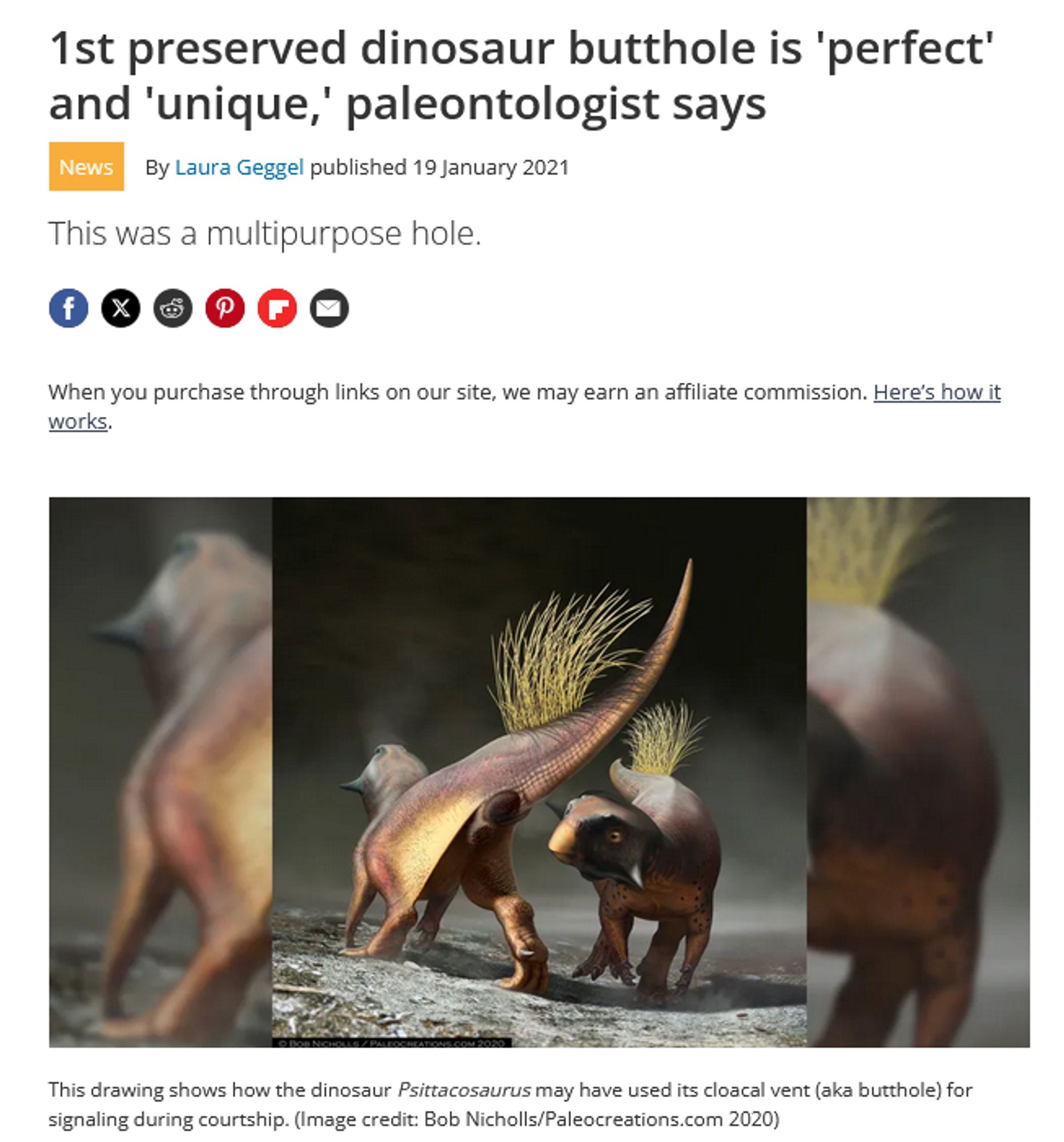 Live Science article:
"1st preserved dinosaur butthole is 'perfect' and 'unique,' paleontologist says"

[Picture of Psittacosaurus]
"This drawing shows how the dinosaur Psittacosaurus may have used its cloacal vent (aka butthole) for signaling during courtship. (Image credit: Bob Nicholls/Paleocreations.com 2020)"