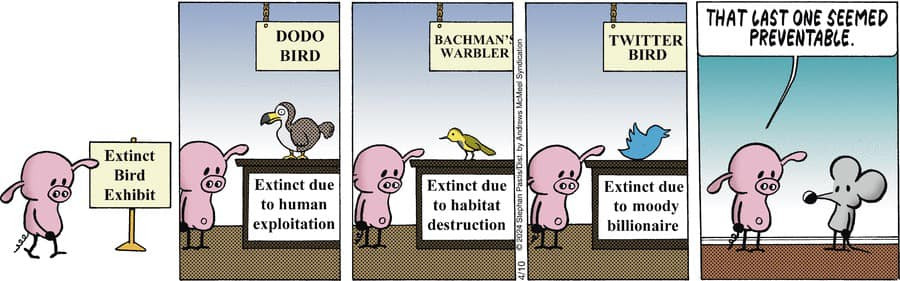 Pearls before Swine comic about extinct birds. Last one is the twitter bird that "seemed preventable"