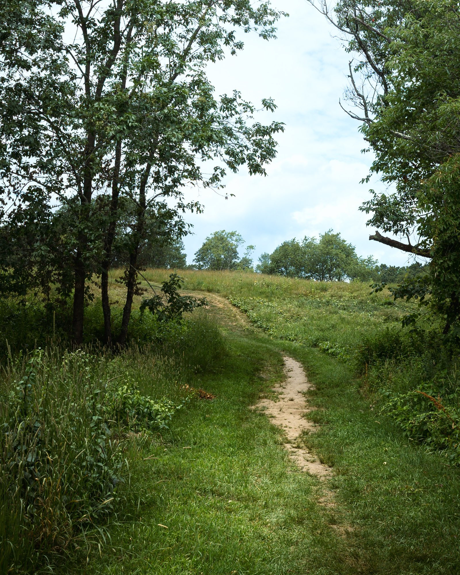 Path between small stands of trees leading to a hill in a meadow. Some trees in the distance and a partly cloudy blue sky. 