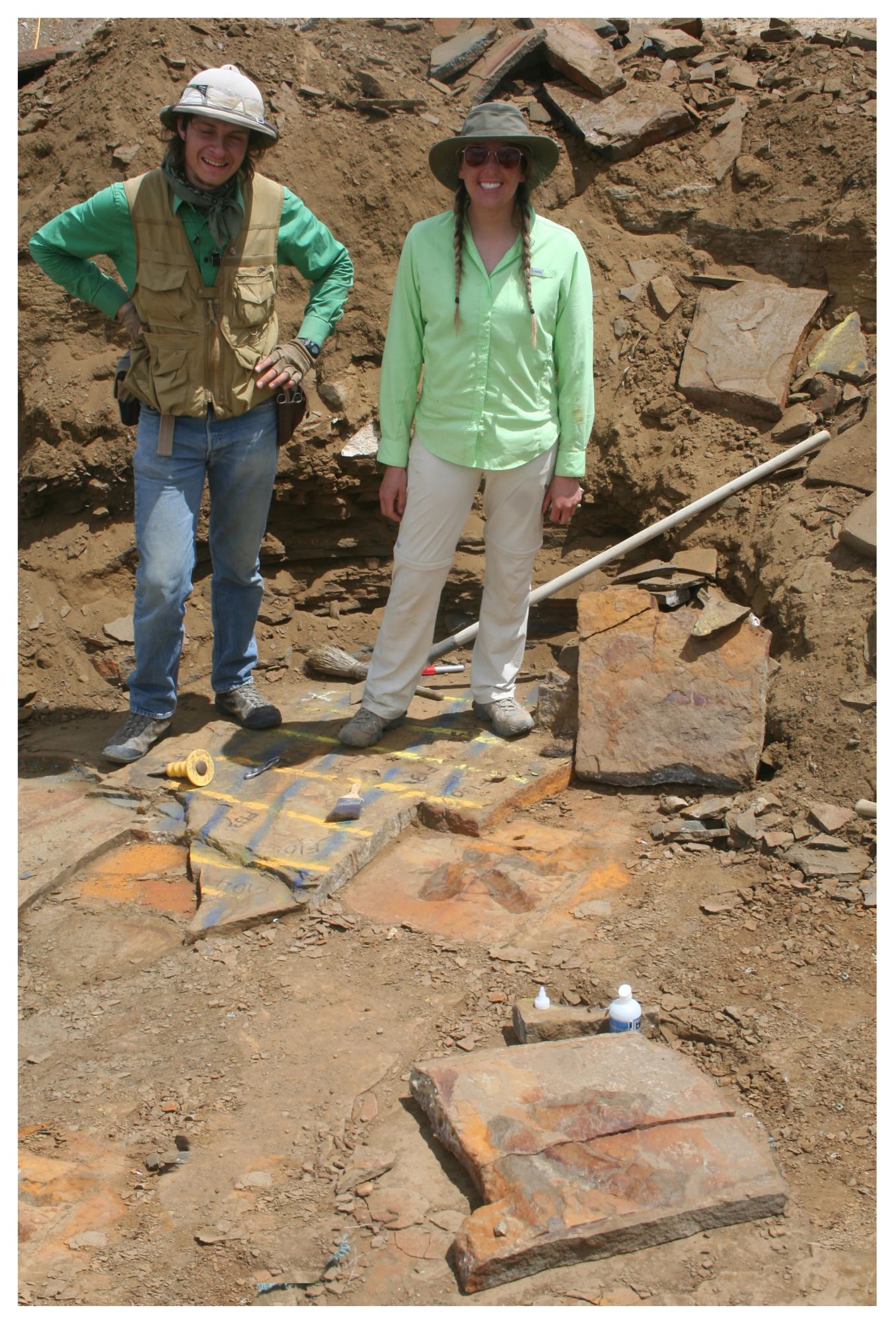 Footprint fossils are important because they reveal the size of the animals that made them, their movement, and animal behavior. The 44,000 pounds of footprints collected at this site in Wyoming tell the story of tyrannosaurs ambushing a herd of hadrosaurs as they approached the river to drink.