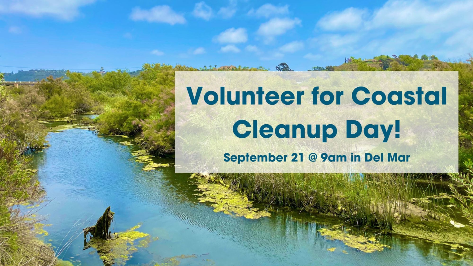 Coastal cleanup day