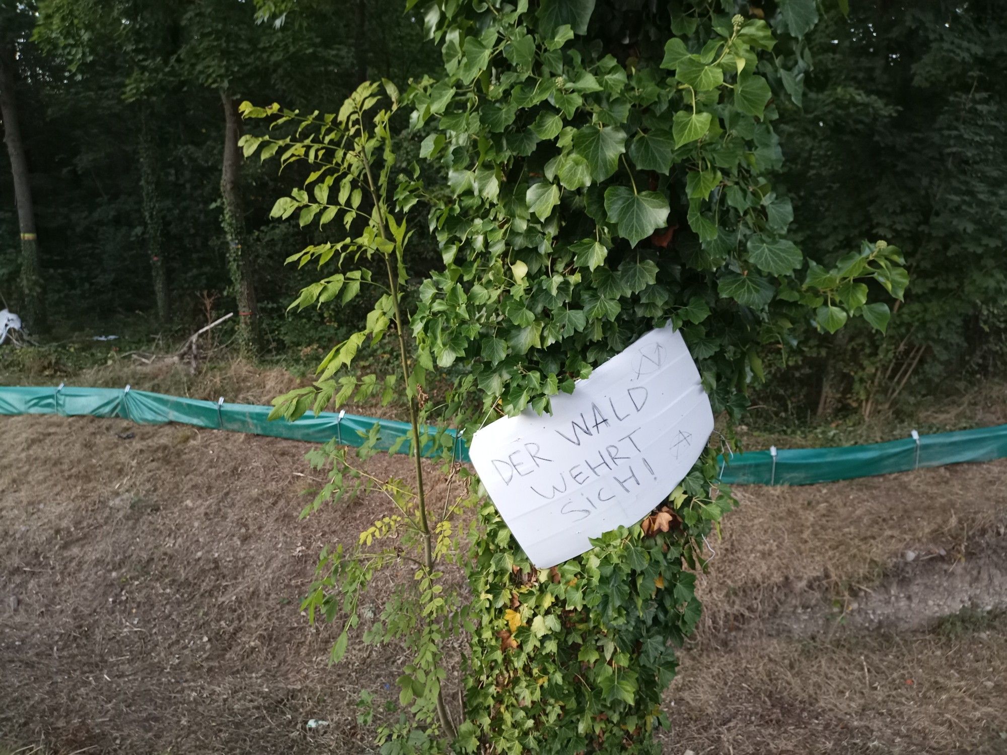 Der Wald wehrt sich. Schild vor dem Wald