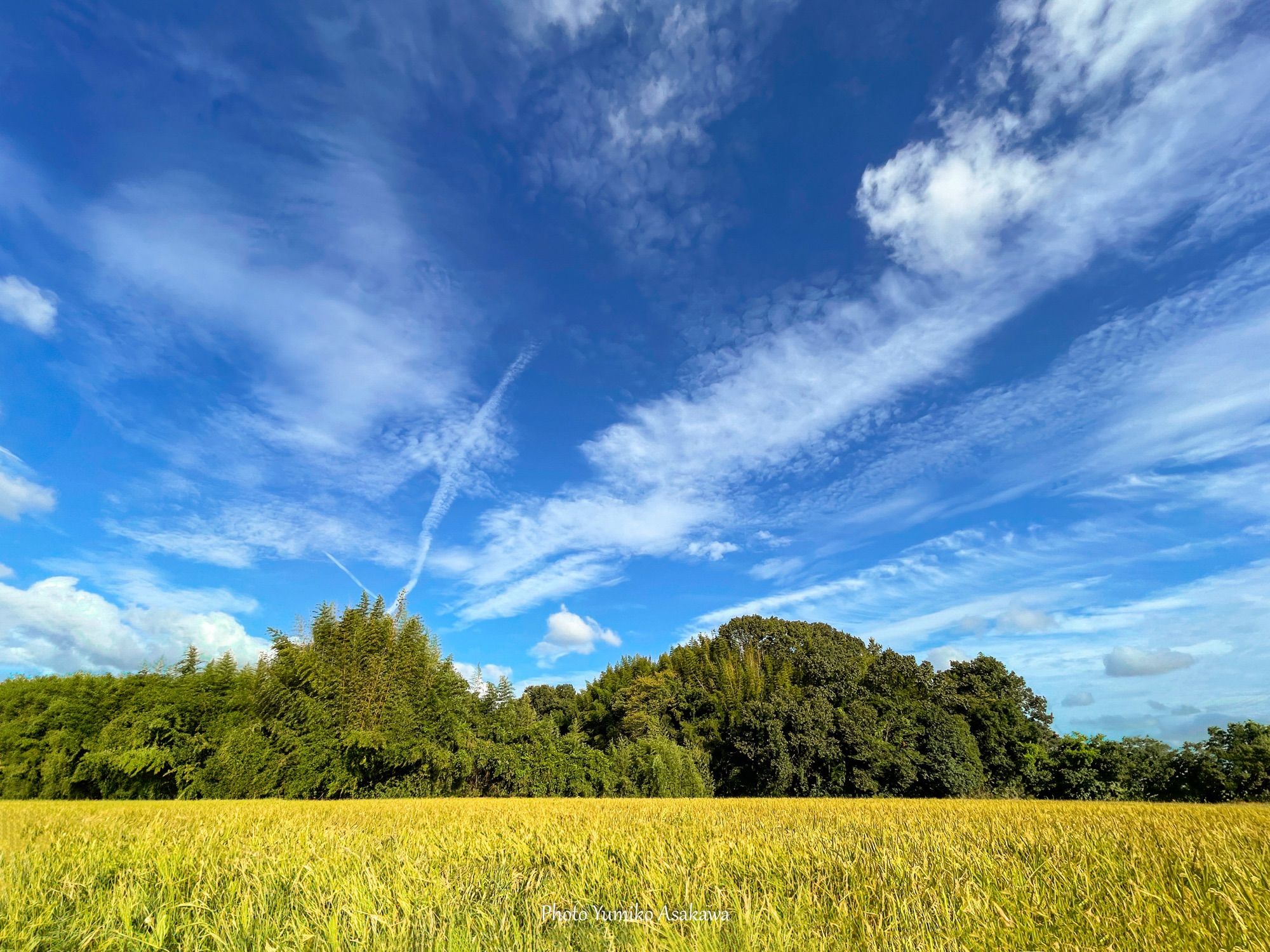 秋空
少し涼しくなって秋が近づいてきましたね(^^♪