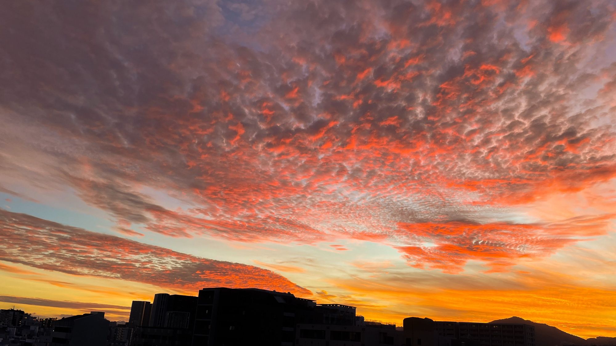 いつかの夕焼け
オレンジ色に染まる空と夕陽に灼かれる雲が素敵な夕焼けでした(^^♪