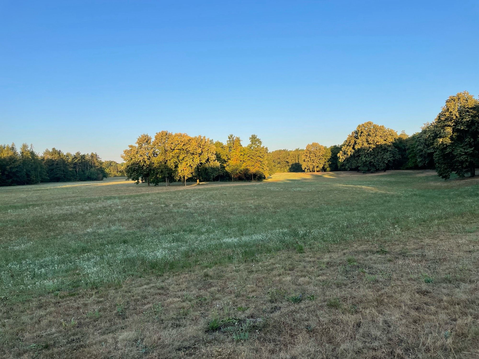 Wasserwald, Linz bei Sonnenaufgang