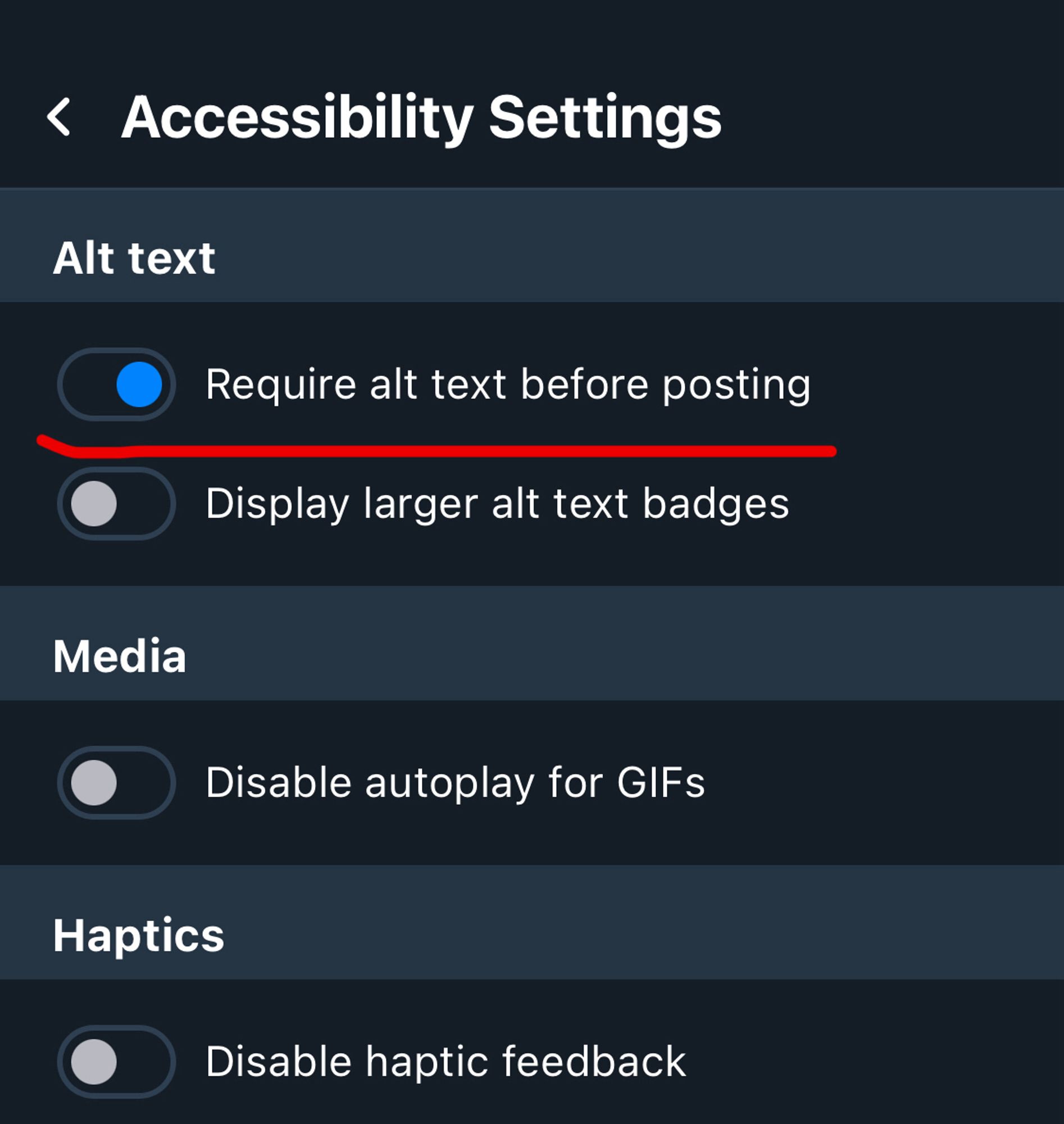 Screenshot of the bluesky accessibility settings that shows the “require alt text before posting” setting toggled on and underlined for emphasis.