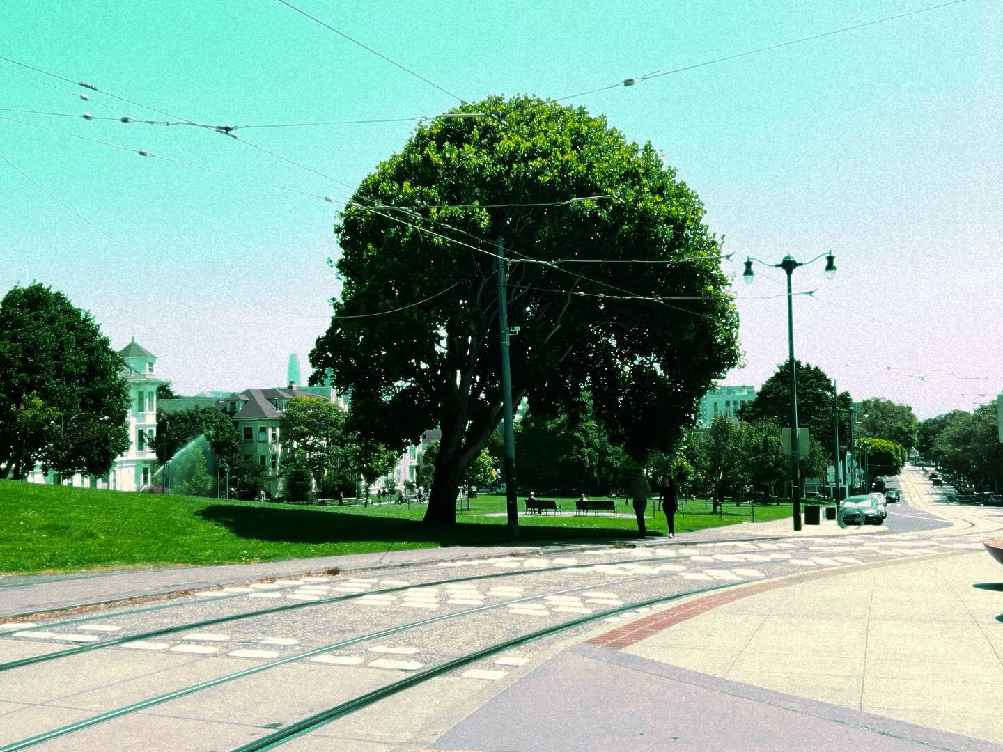 Light rail tracks cross in front of a concrete waiting area.  Beyond the tracks is a large area of green of a large tree.  In the background, we can see the city skyline, including the Salesforce Tower.