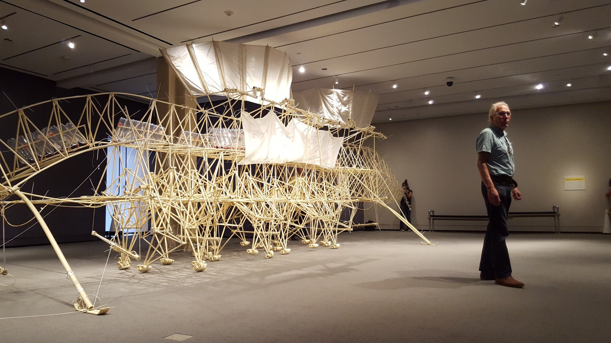 Picture of Theo Jansen and one of his Strandbeest sculptures at the Peabody Essex Museum in Massachusetts - 2015