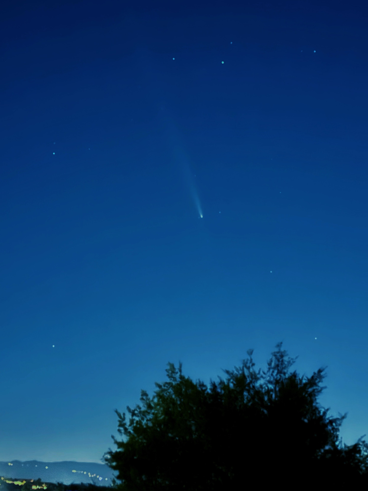 A night sky featuring a visible comet with a long tail, amidst scattered stars, and a silhouette of trees in the foreground.