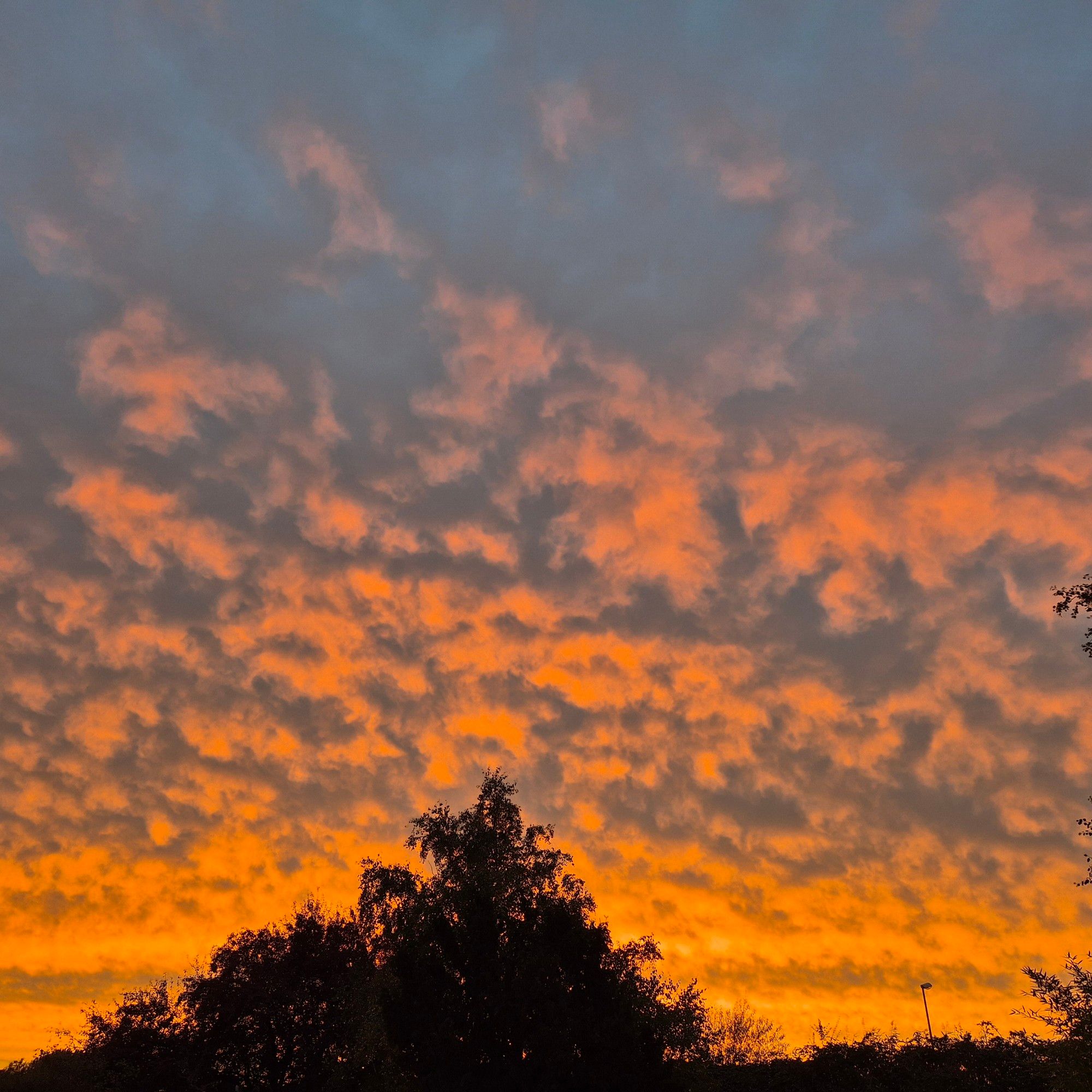 Wolken im Sonnenuntergang