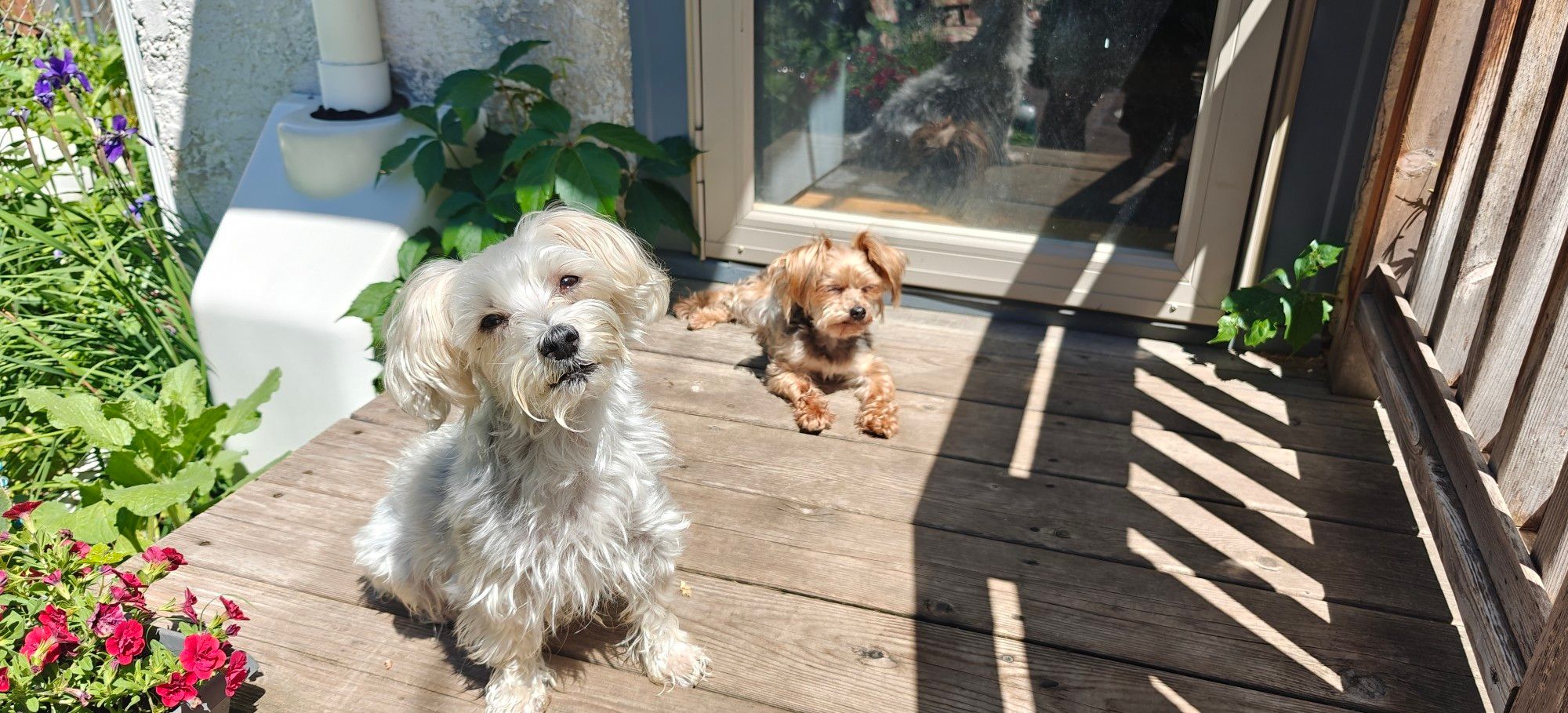 Jamie and Will enjoying their sun beam.